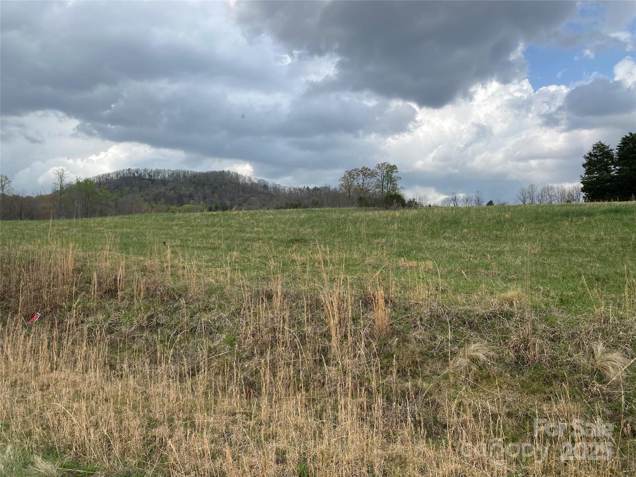 0 Cane Creek Mountain Road Property Photo 4