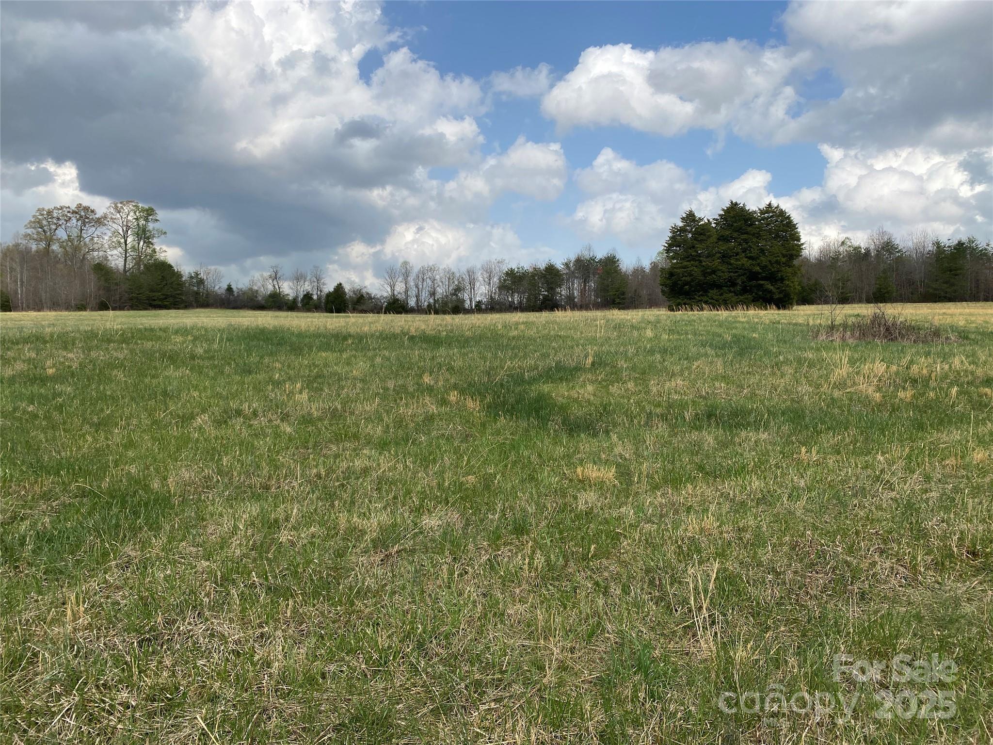 0 Cane Creek Mountain Road Property Photo 5