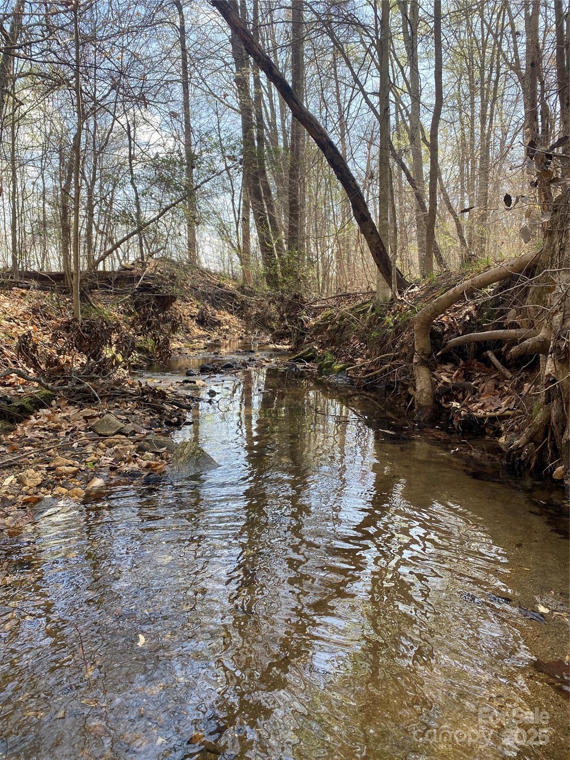 0 Cane Creek Mountain Road Property Photo 7