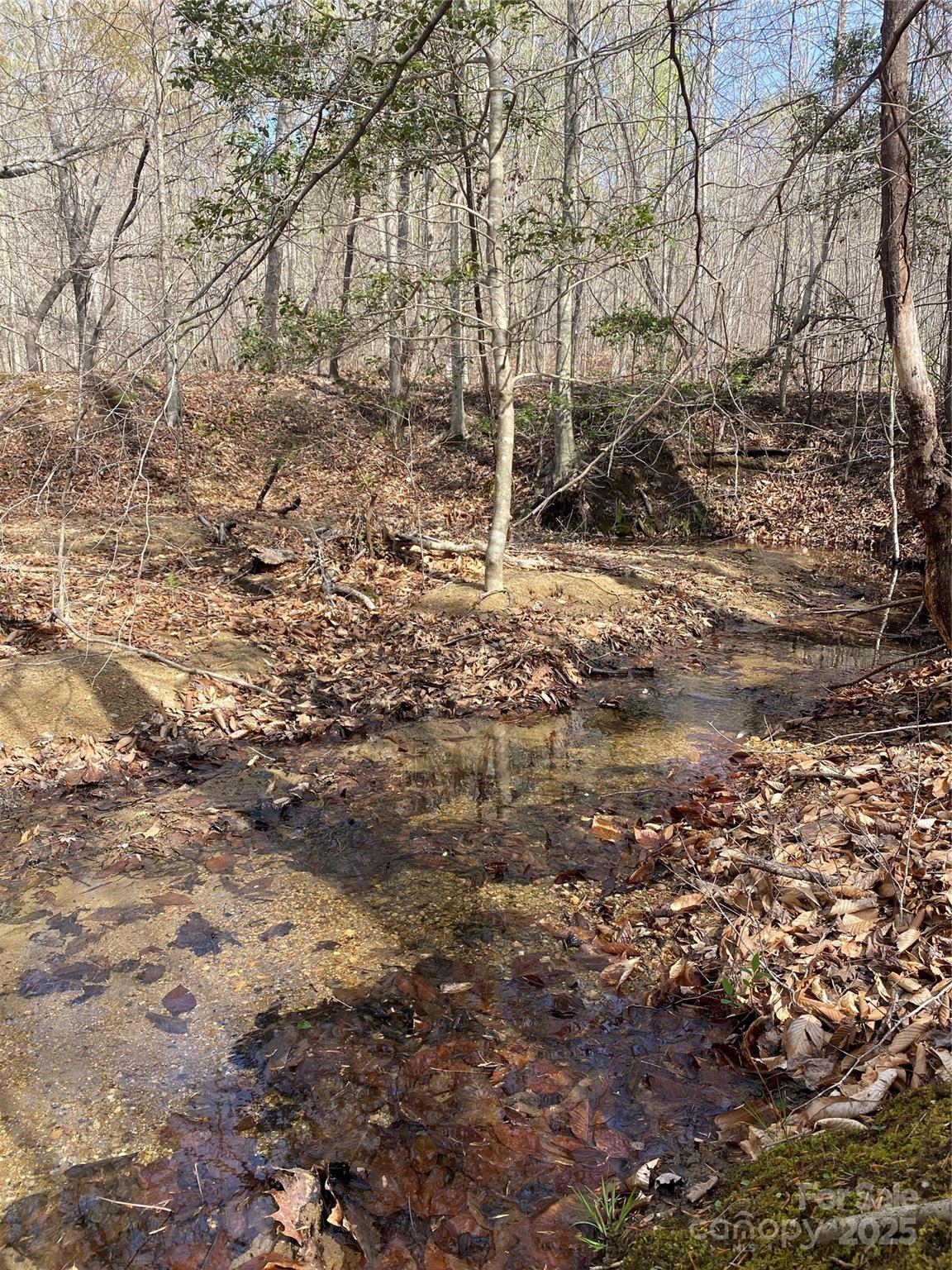 0 Cane Creek Mountain Road Property Photo 8