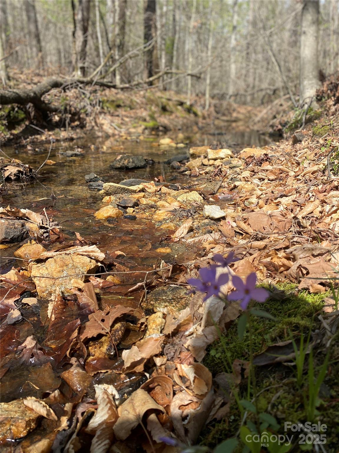 0 Cane Creek Mountain Road Property Photo 9