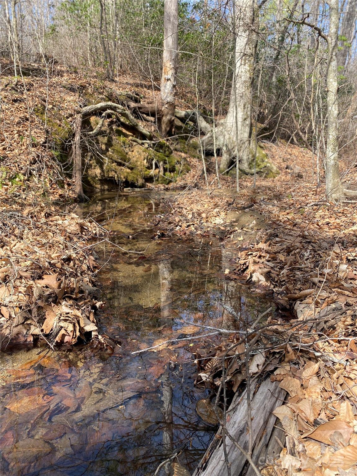 0 Cane Creek Mountain Road Property Photo 10