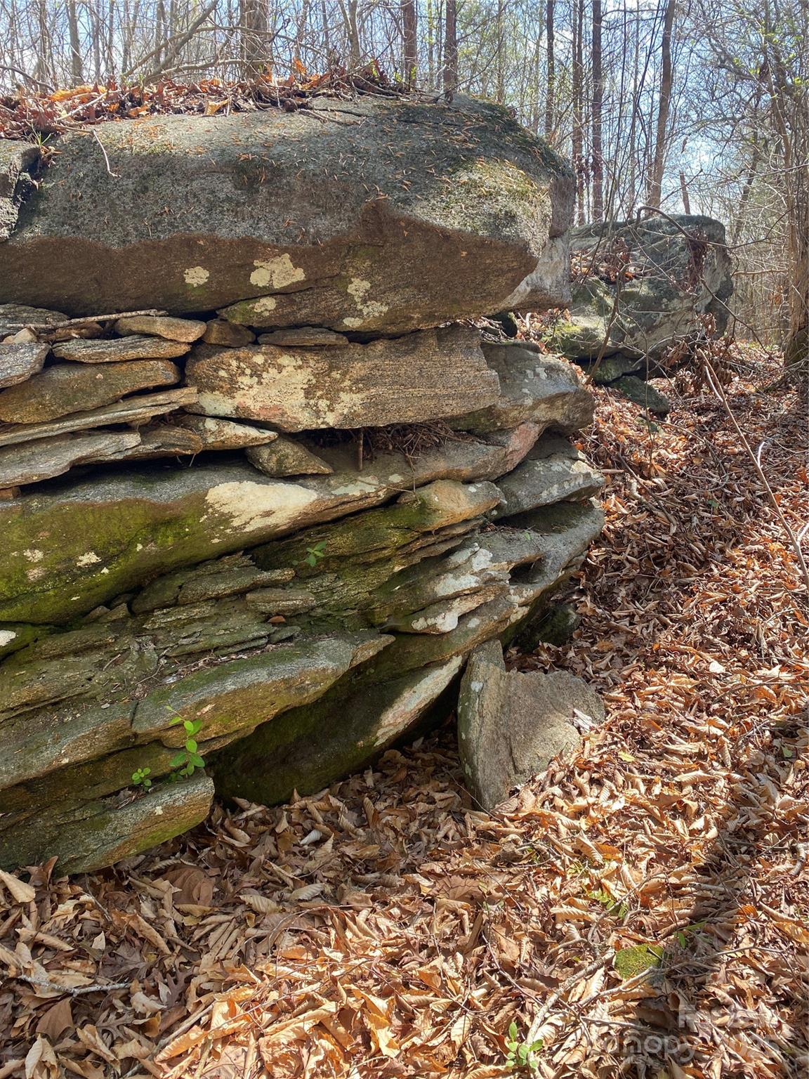 0 Cane Creek Mountain Road Property Photo 11