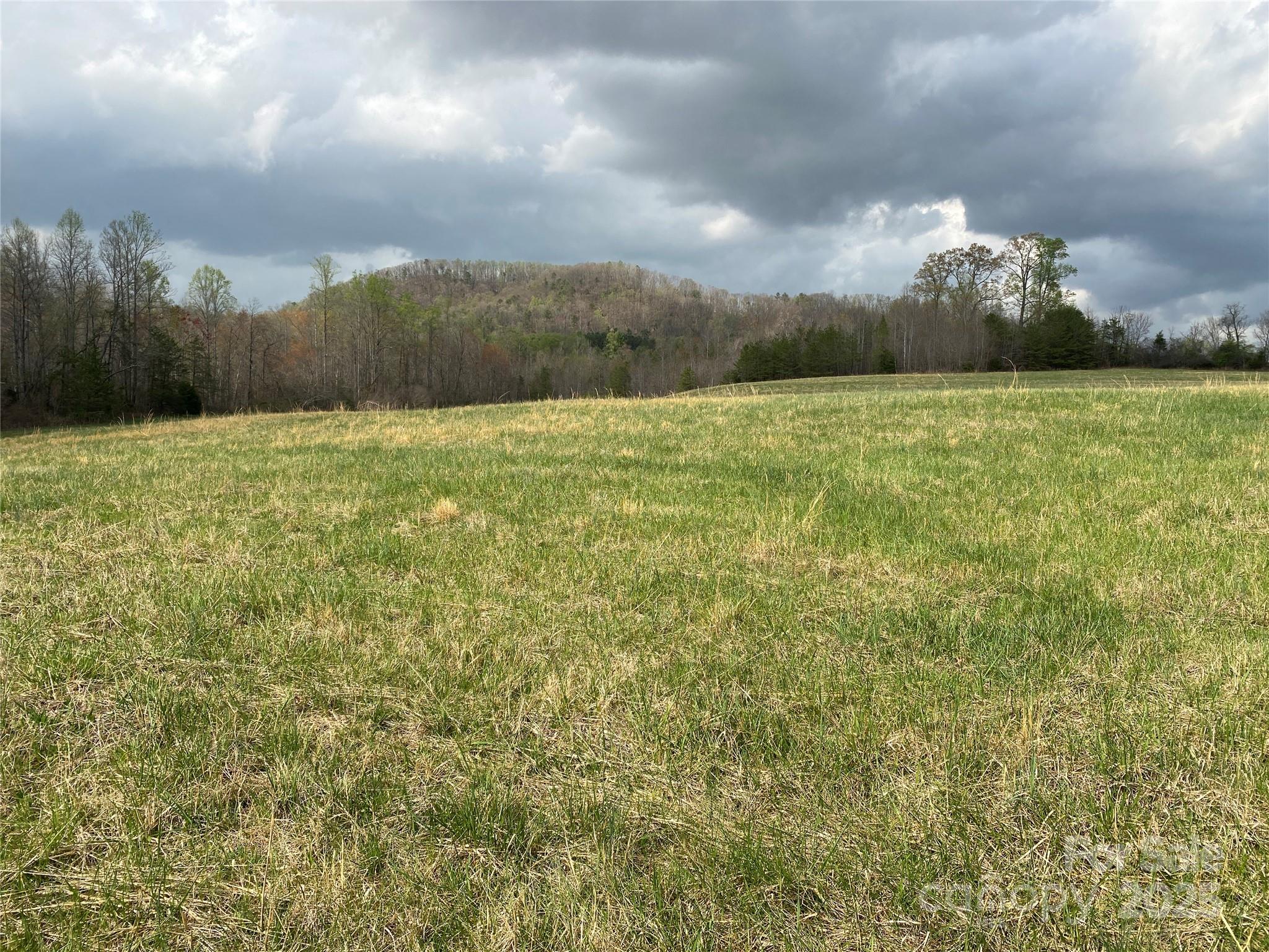 0 Cane Creek Mountain Road Property Photo 14