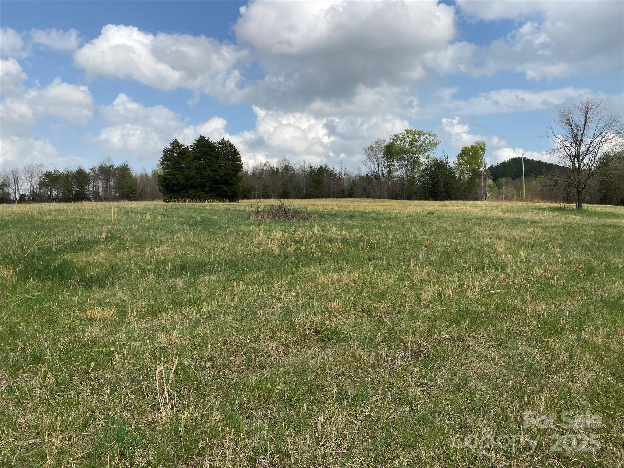 0 Cane Creek Mountain Road Property Photo 15