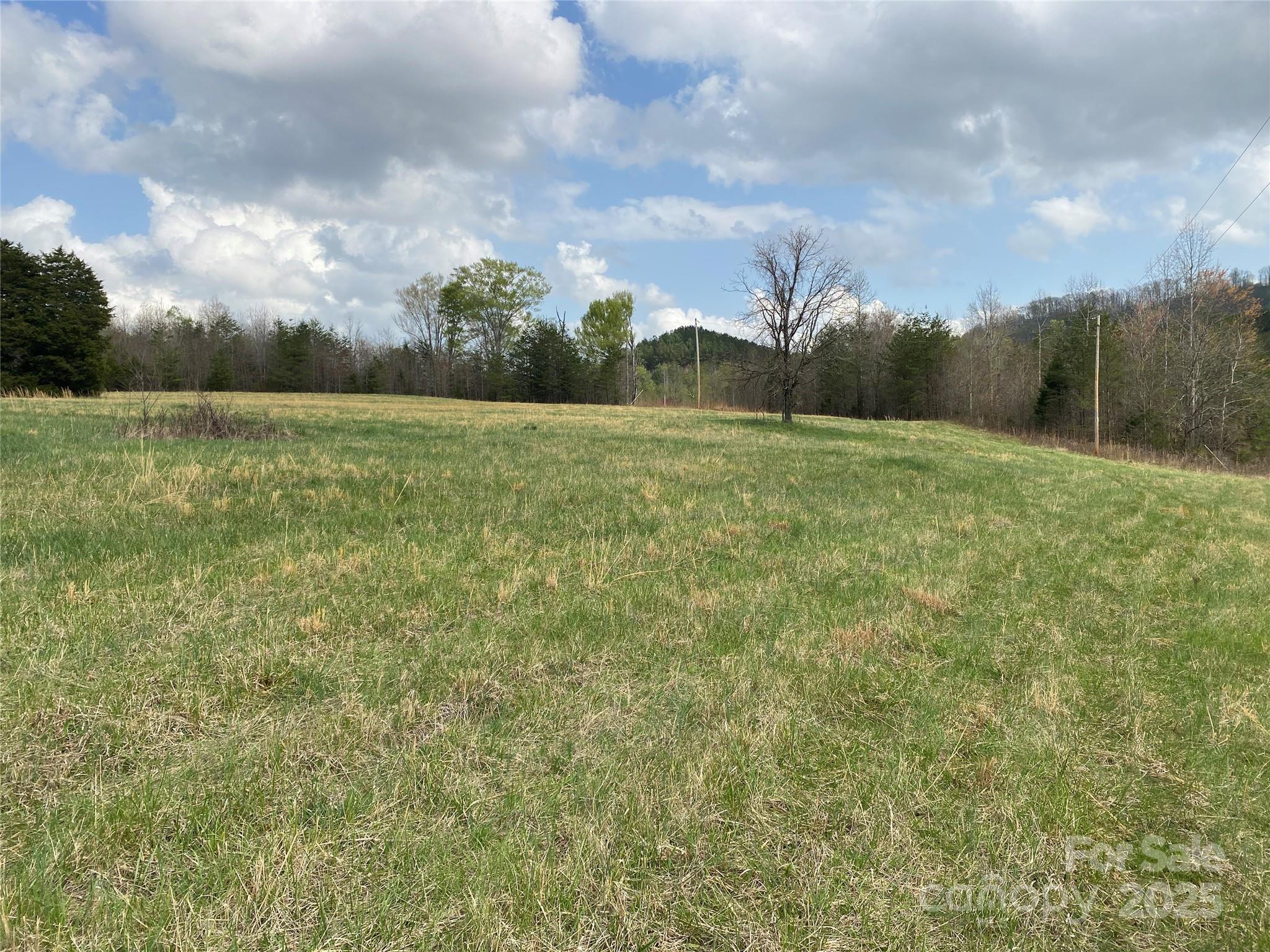 0 Cane Creek Mountain Road Property Photo 16