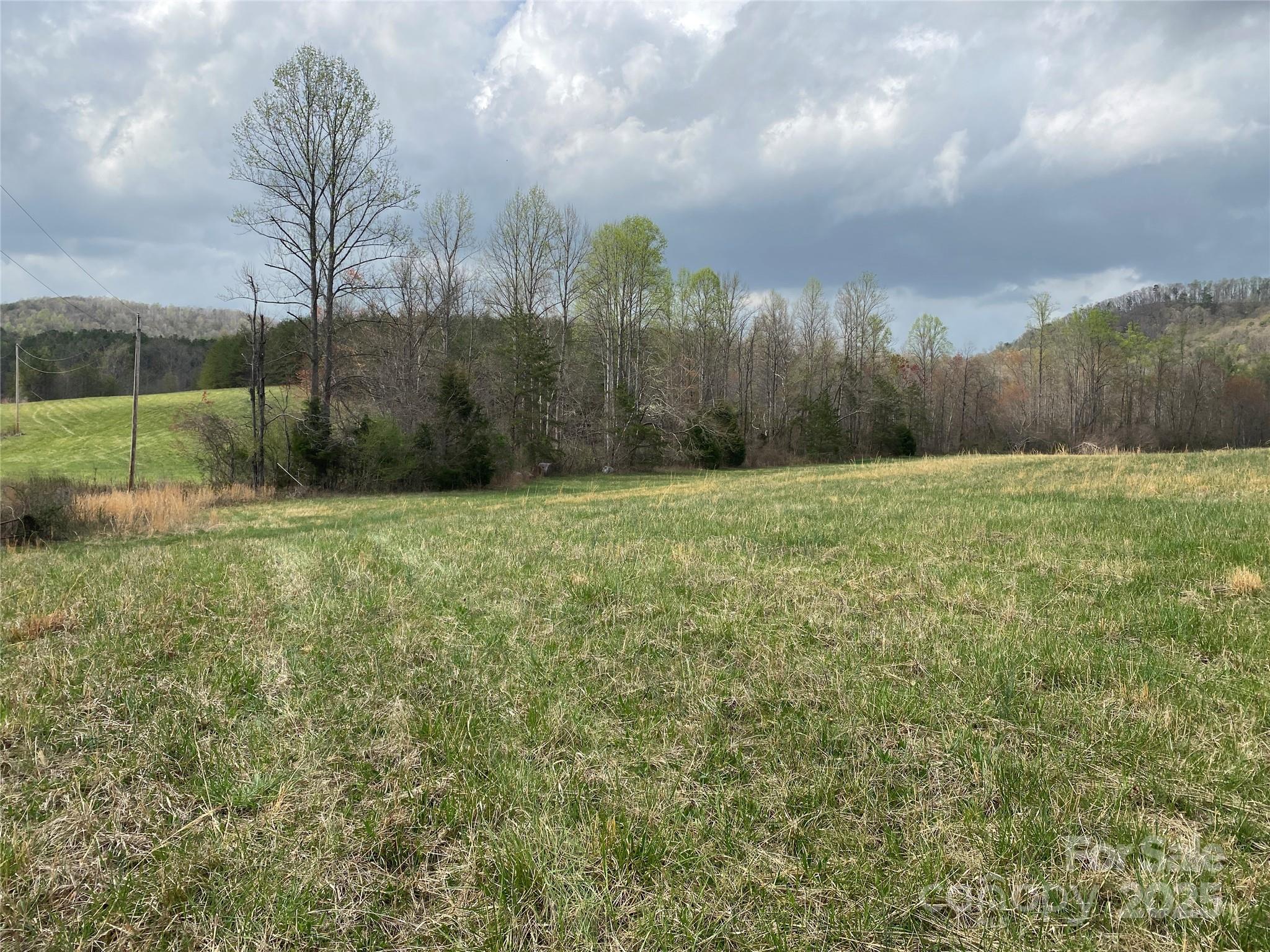 0 Cane Creek Mountain Road Property Photo 17