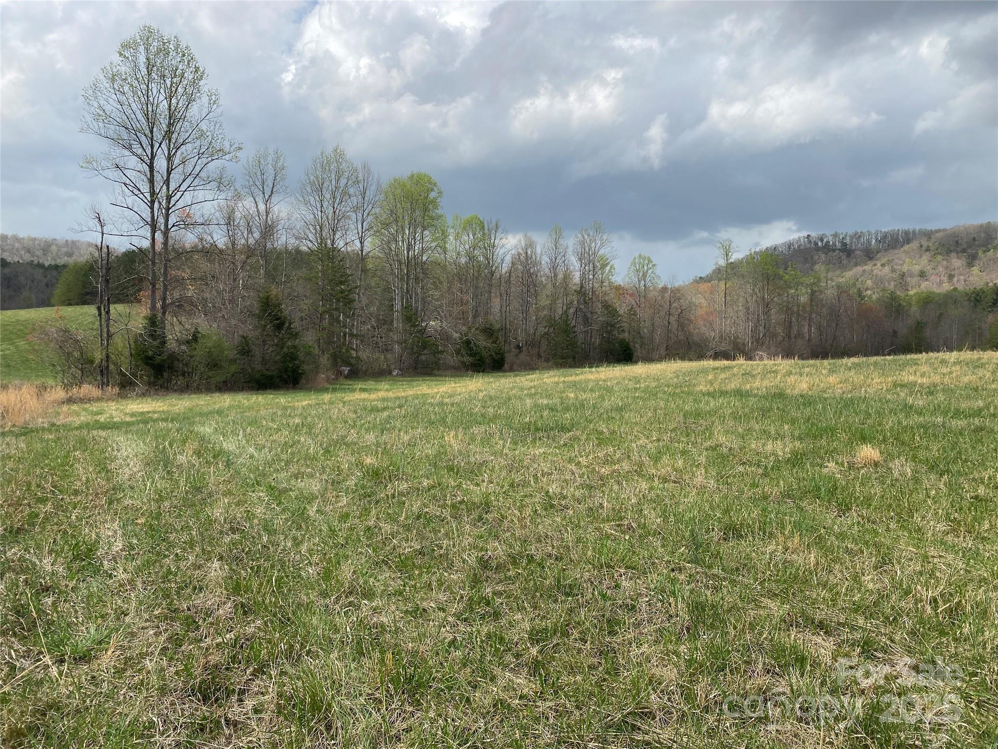 0 Cane Creek Mountain Road Property Photo 18