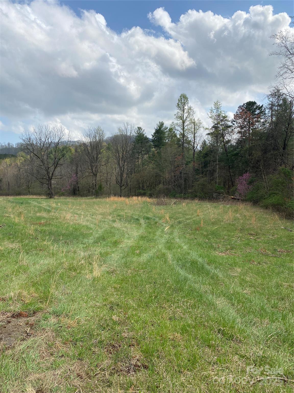 0 Cane Creek Mountain Road Property Photo 19