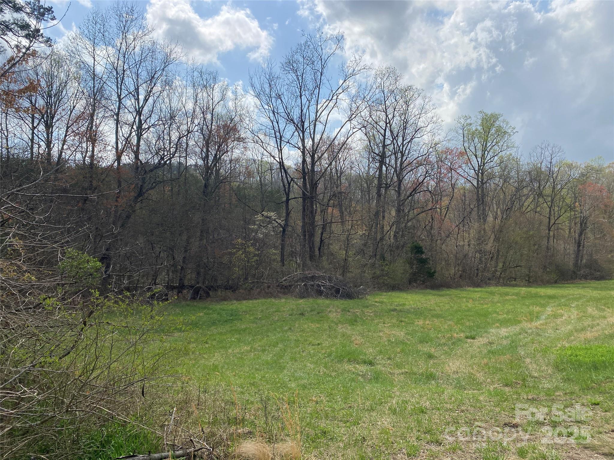 0 Cane Creek Mountain Road Property Photo 21