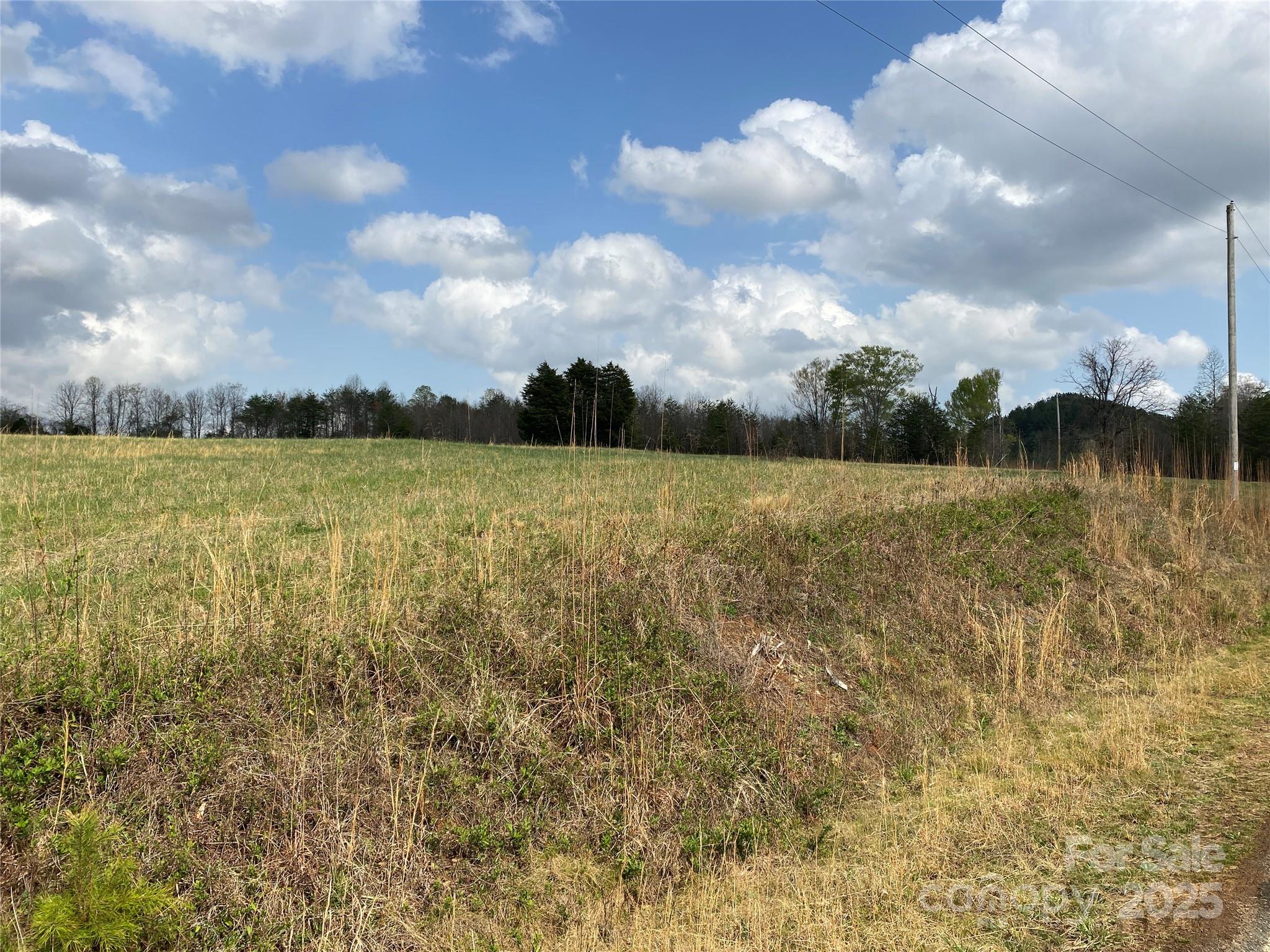 0 Cane Creek Mountain Road Property Photo 22