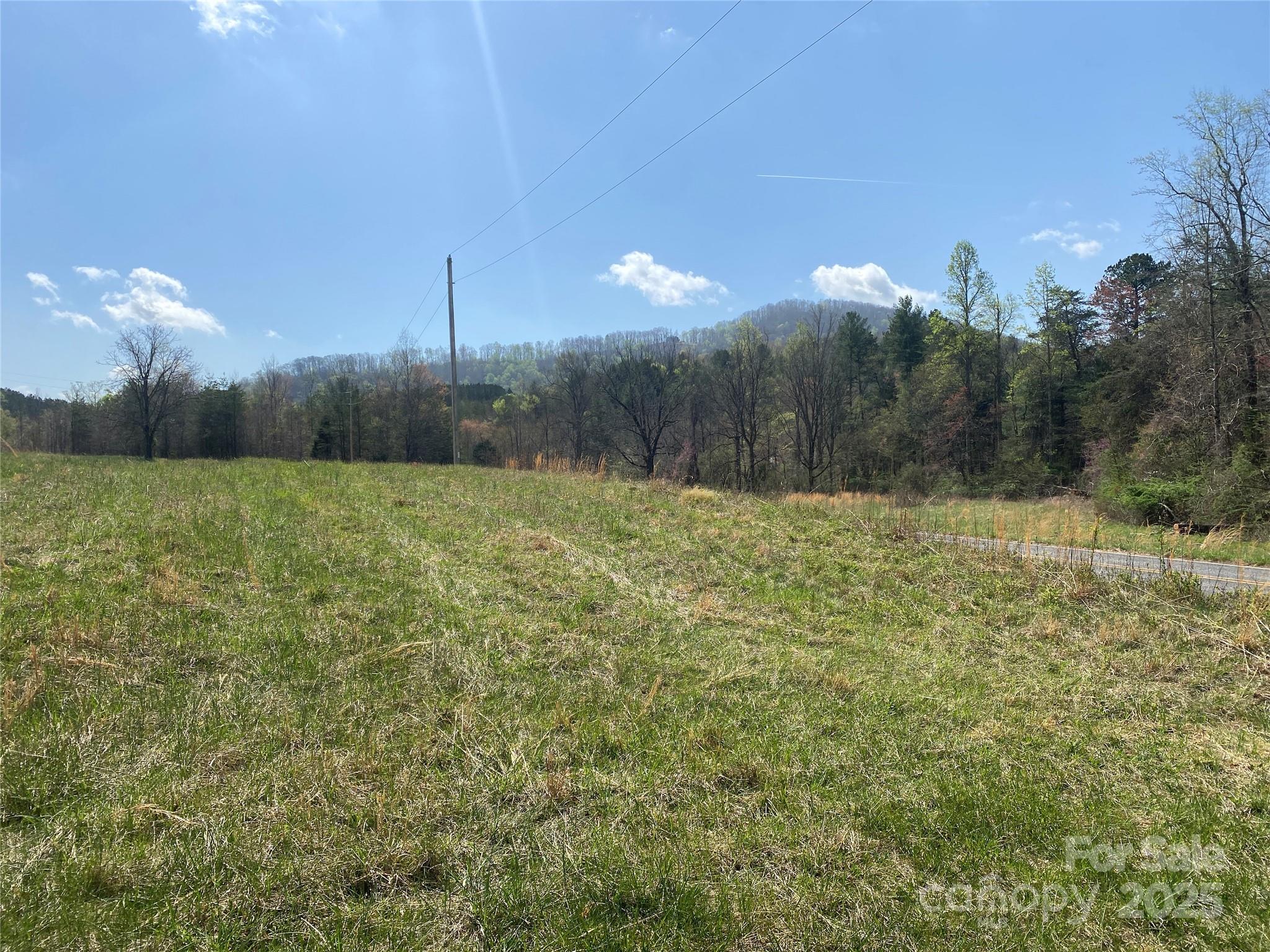 0 Cane Creek Mountain Road Property Photo 25