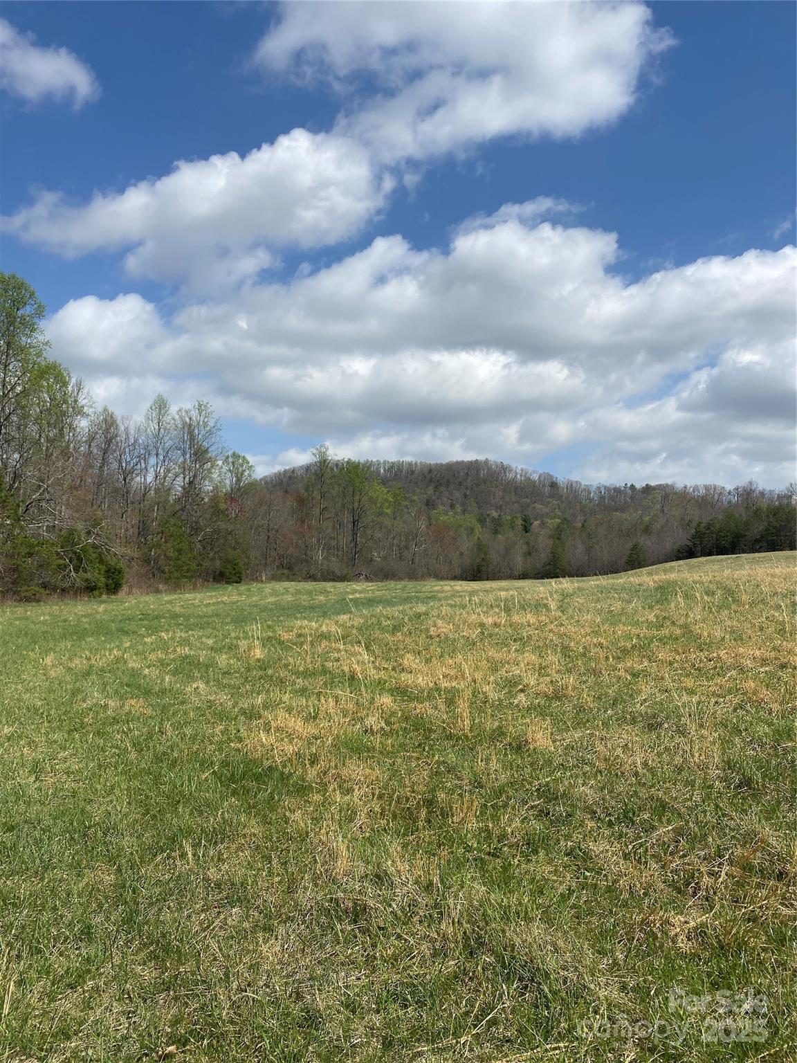 0 Cane Creek Mountain Road Property Photo 26