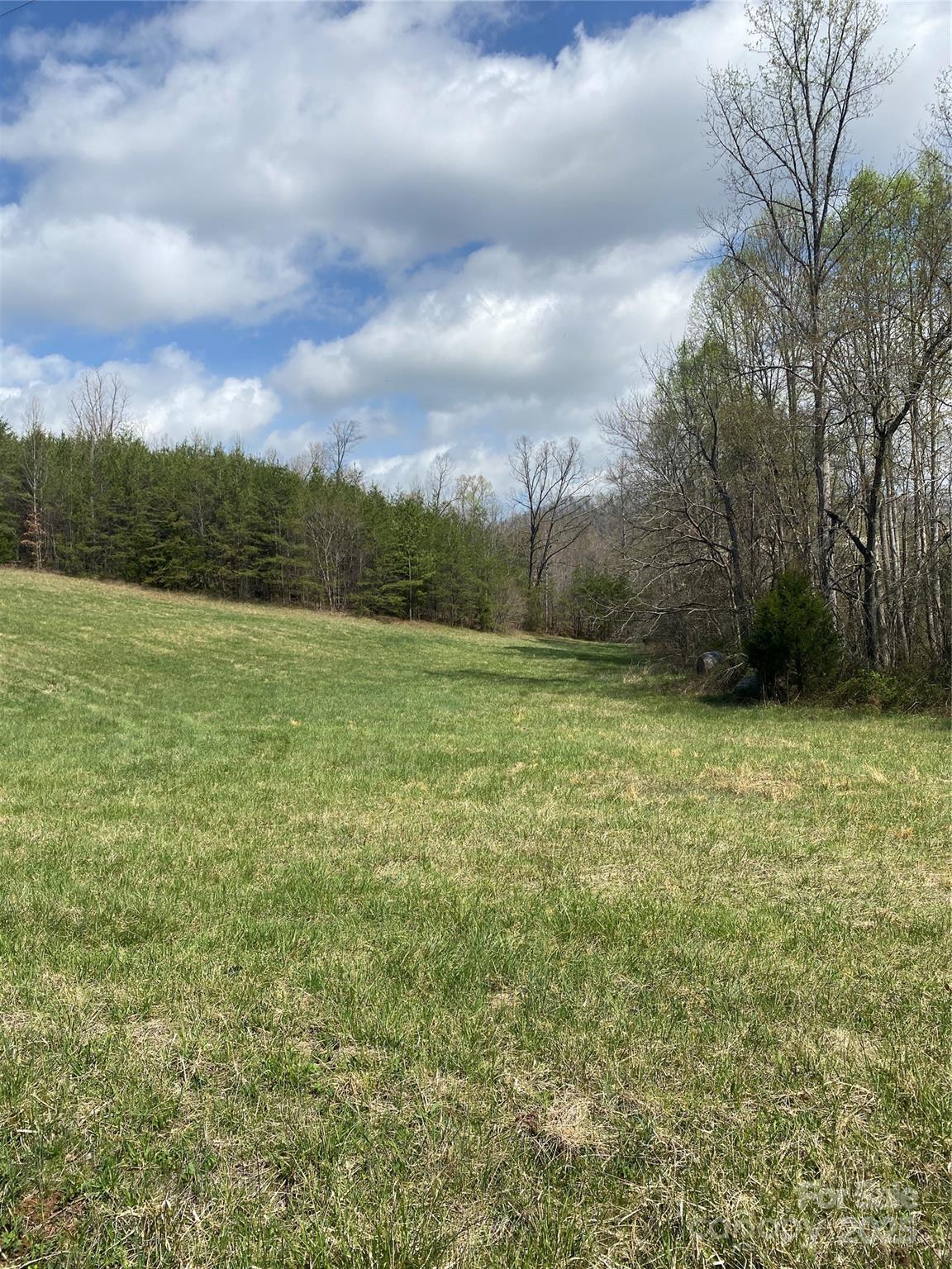 0 Cane Creek Mountain Road Property Photo 27