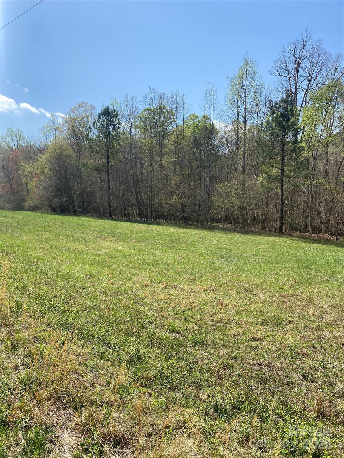0 Cane Creek Mountain Road Property Photo 28