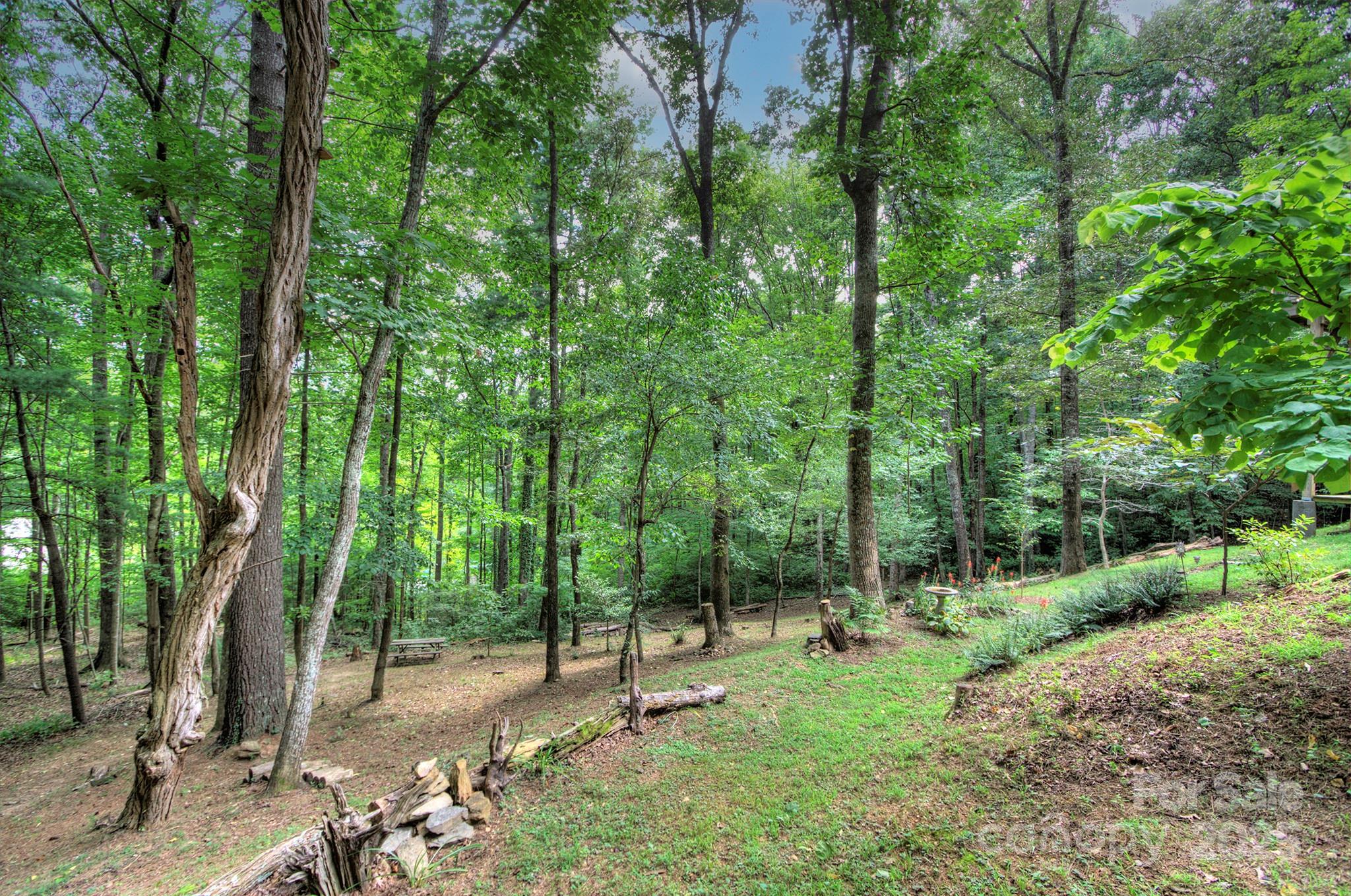 80 Vance Gap Road Property Photo 38