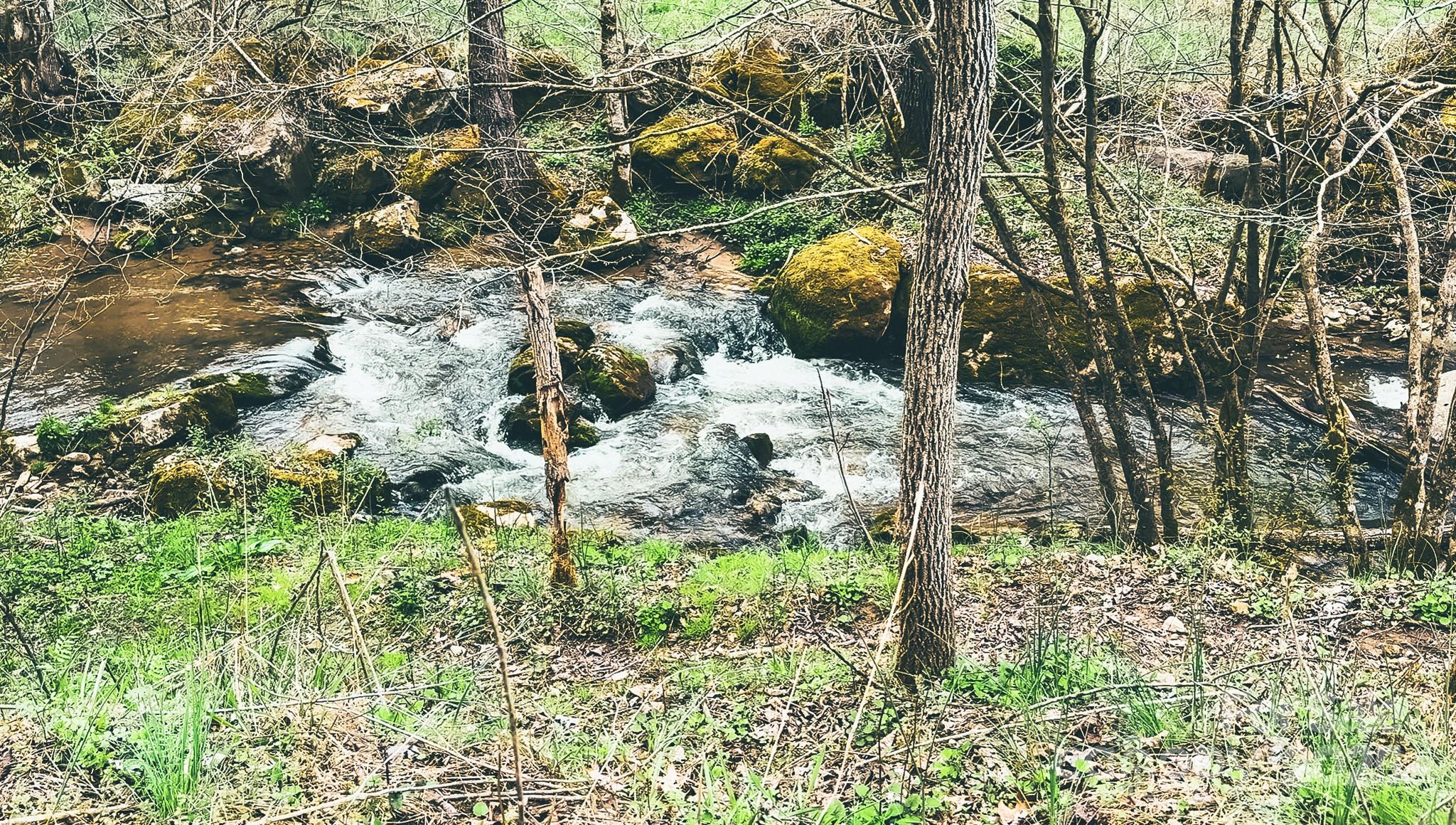 902 Spillcorn Road Property Photo 6