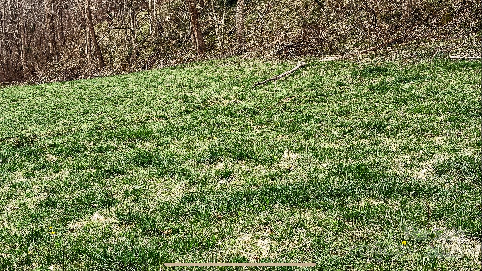 902 Spillcorn Road Property Photo 8