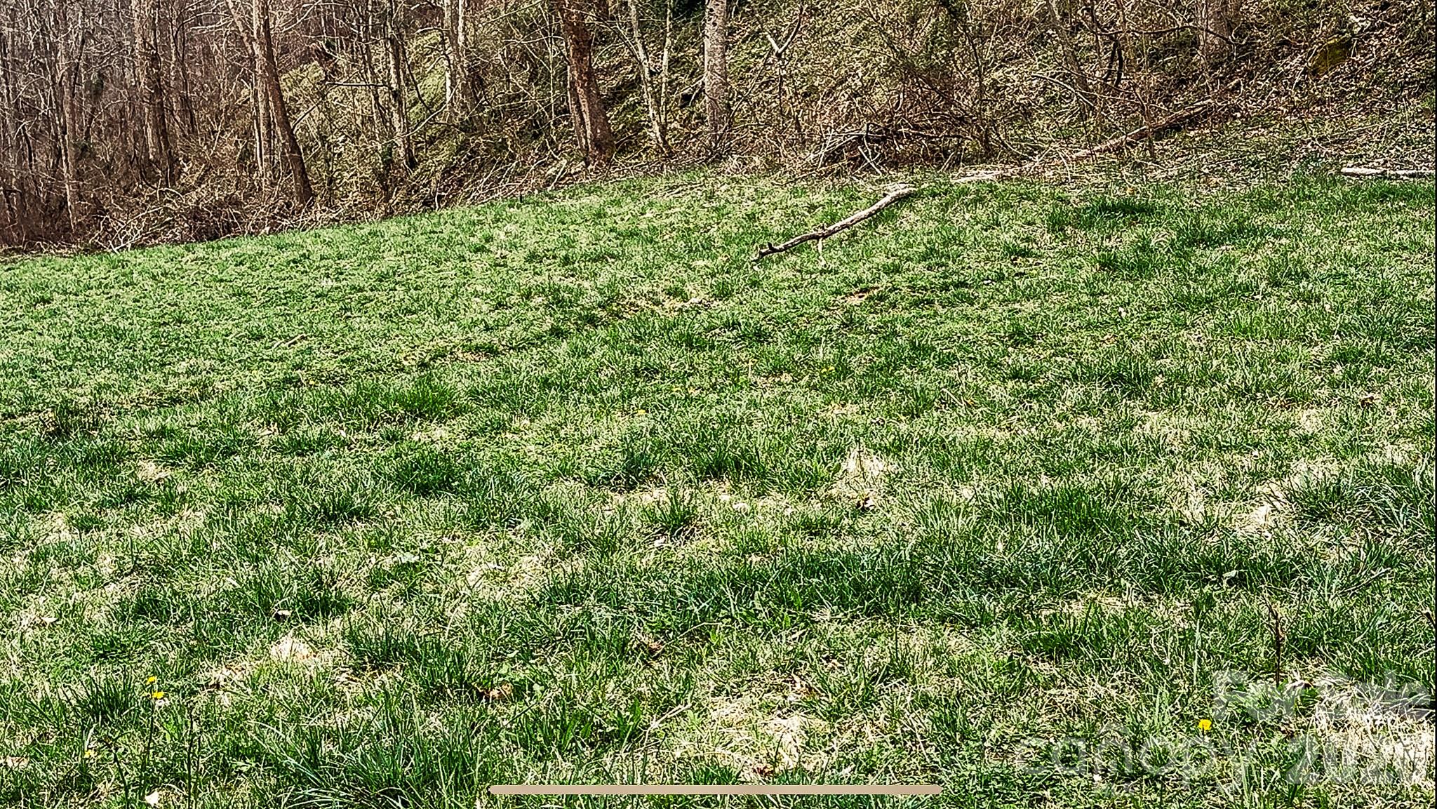 902 Spillcorn Road Property Photo 8