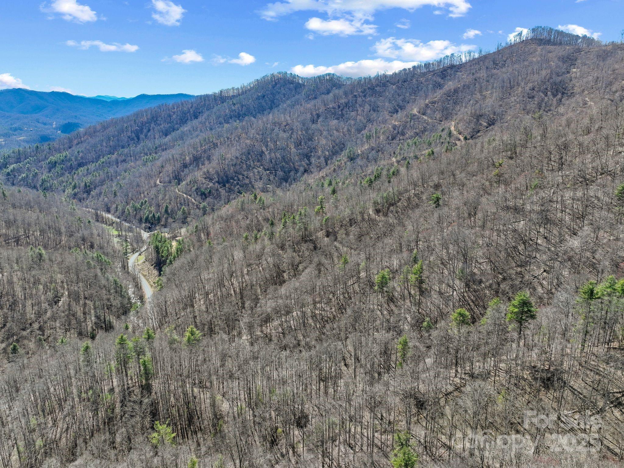 902 Spillcorn Road Property Photo 9