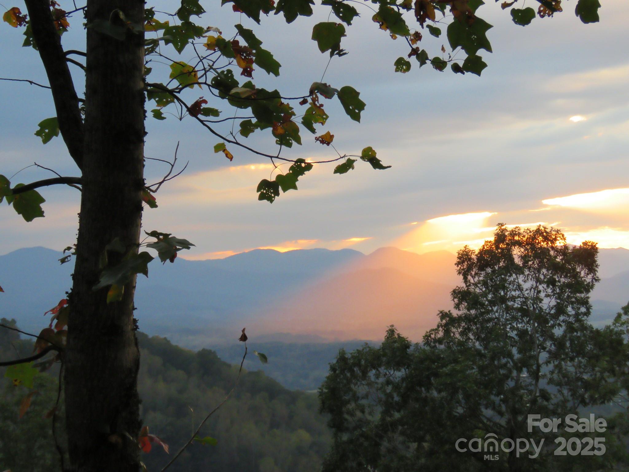 5 Soaring Hawk View 14 Property Photo 1