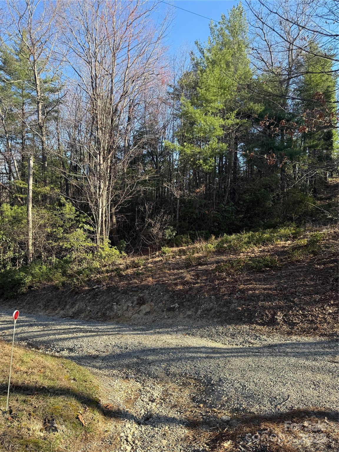 0 Old Sampson Road Property Photo 2