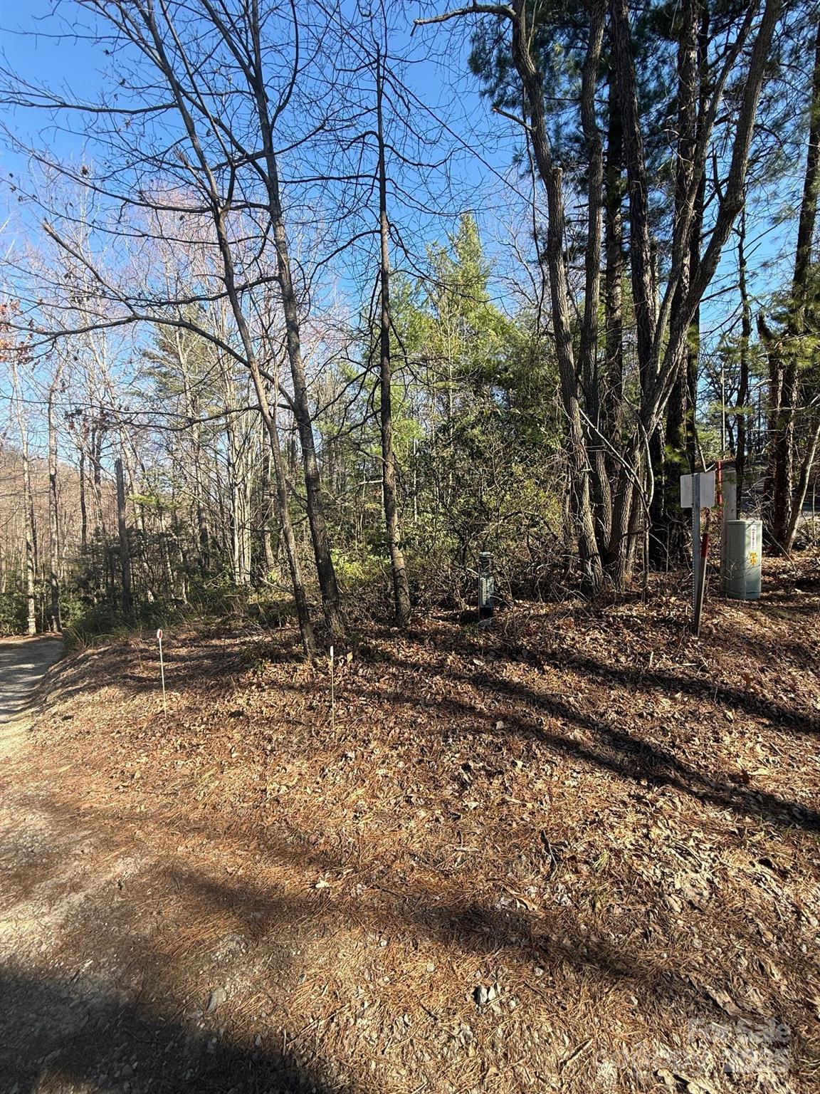 0 Old Sampson Road Property Photo 3