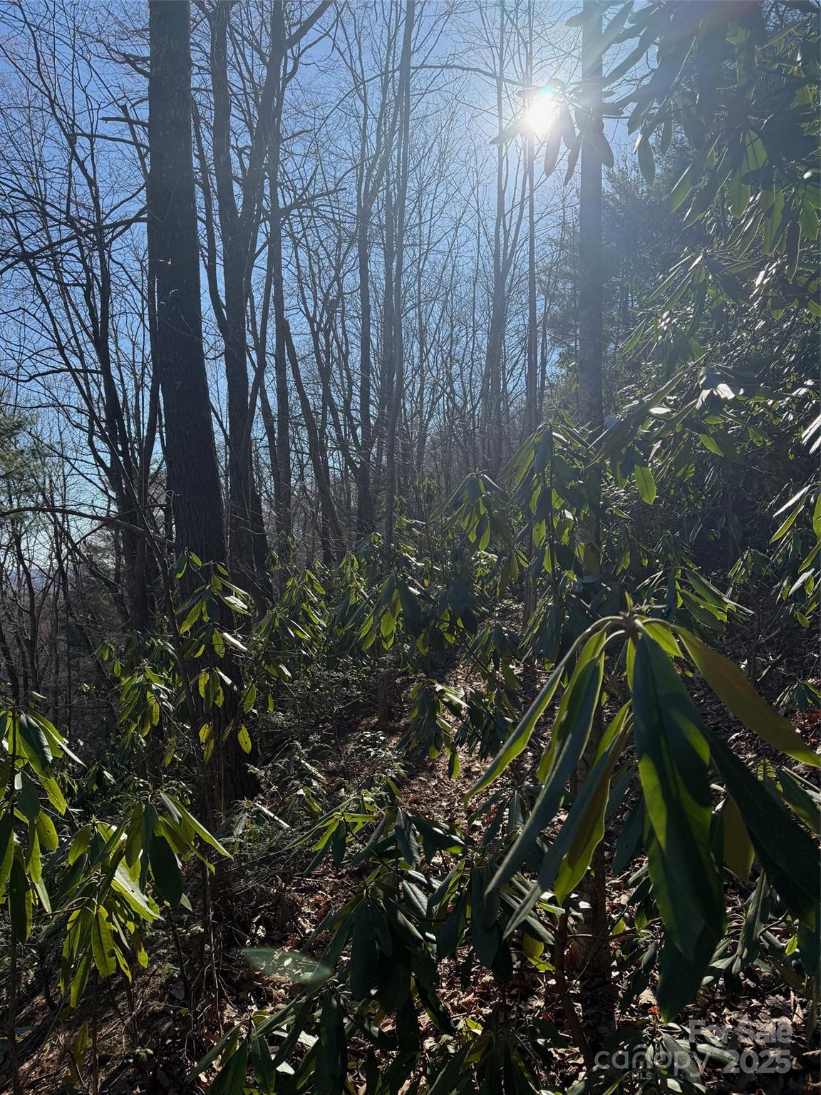 0 Old Sampson Road Property Photo 4