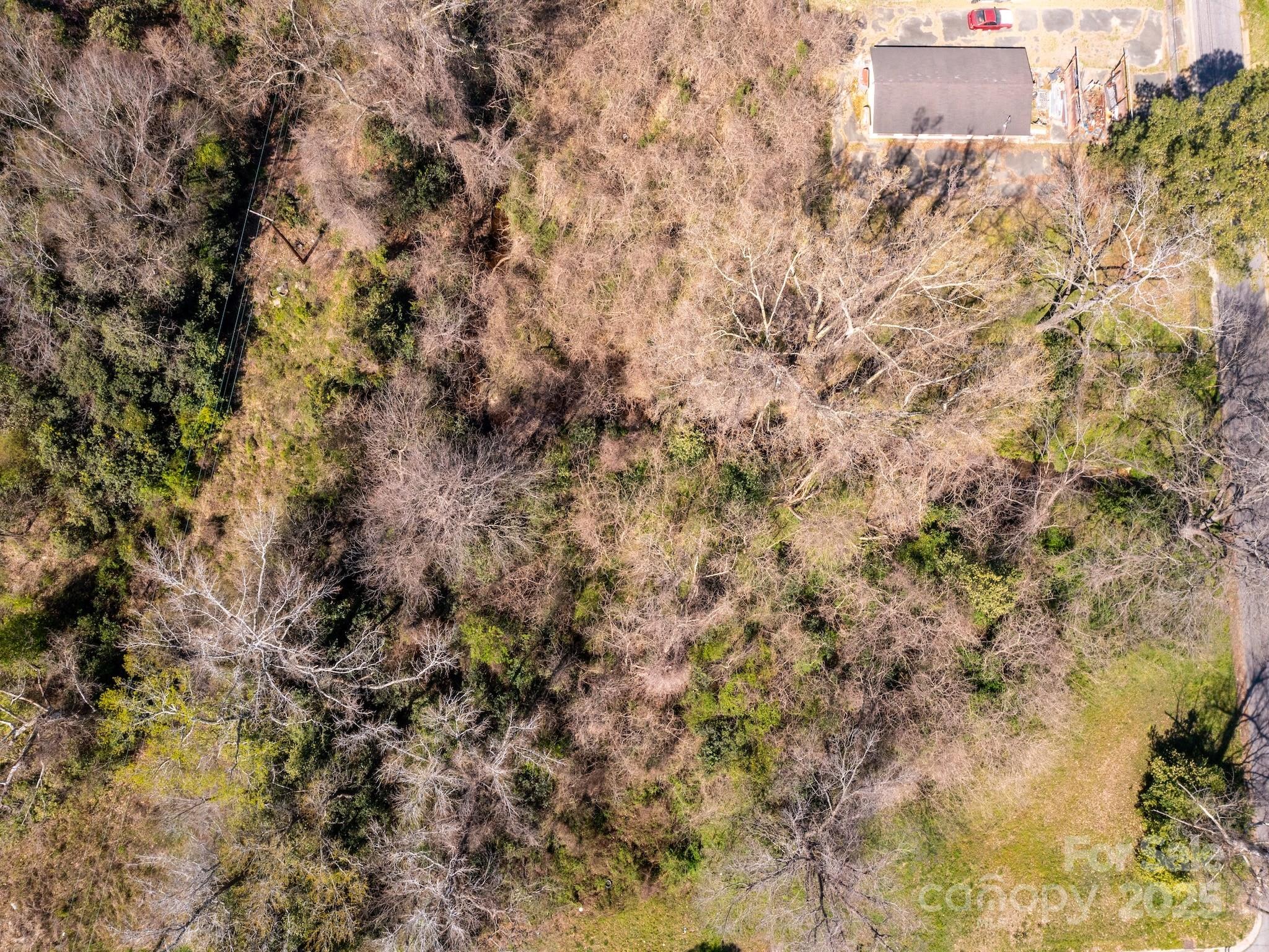 220 Pine Street Property Photo