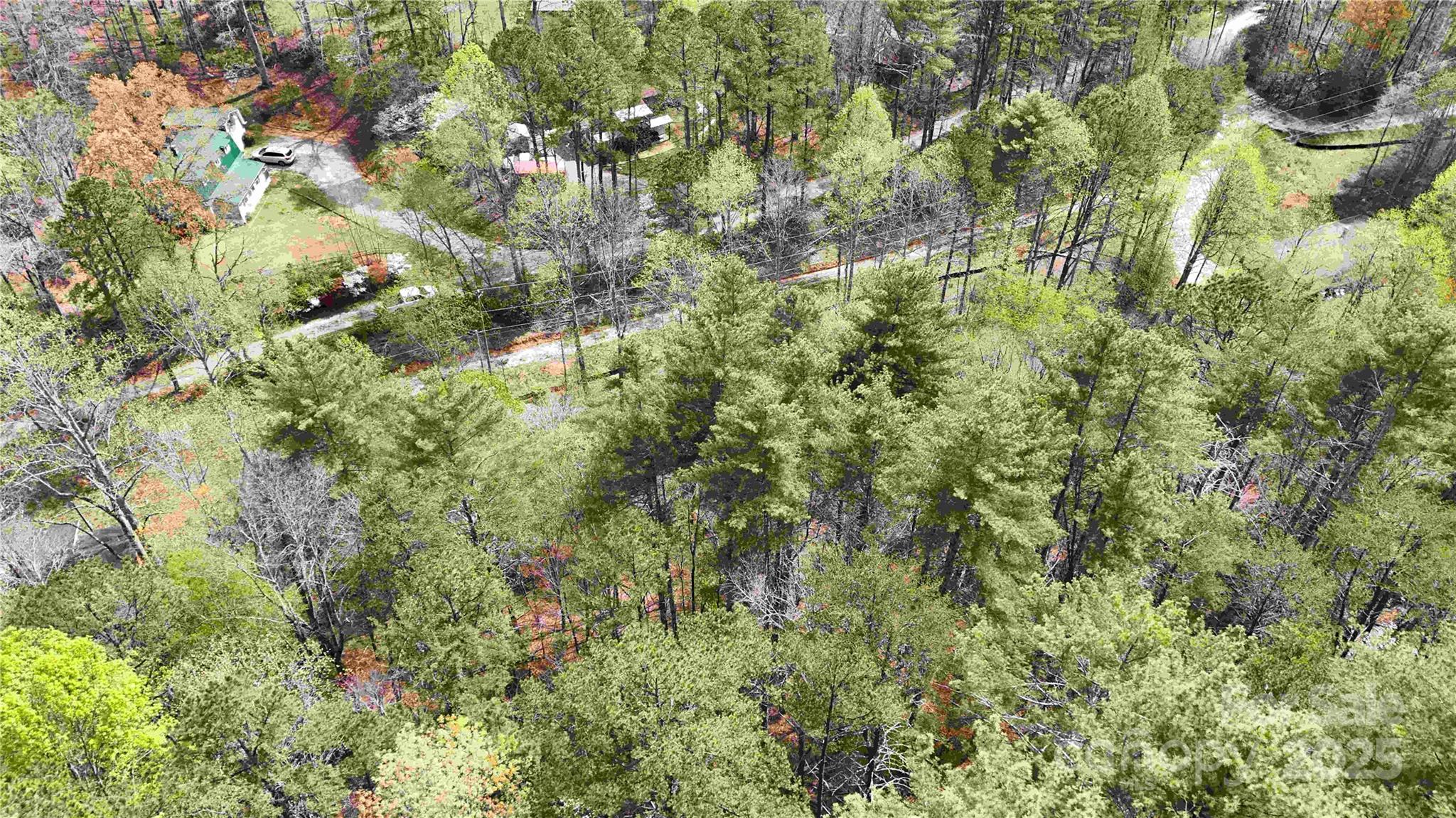 51 Dead End Trail Property Photo 5