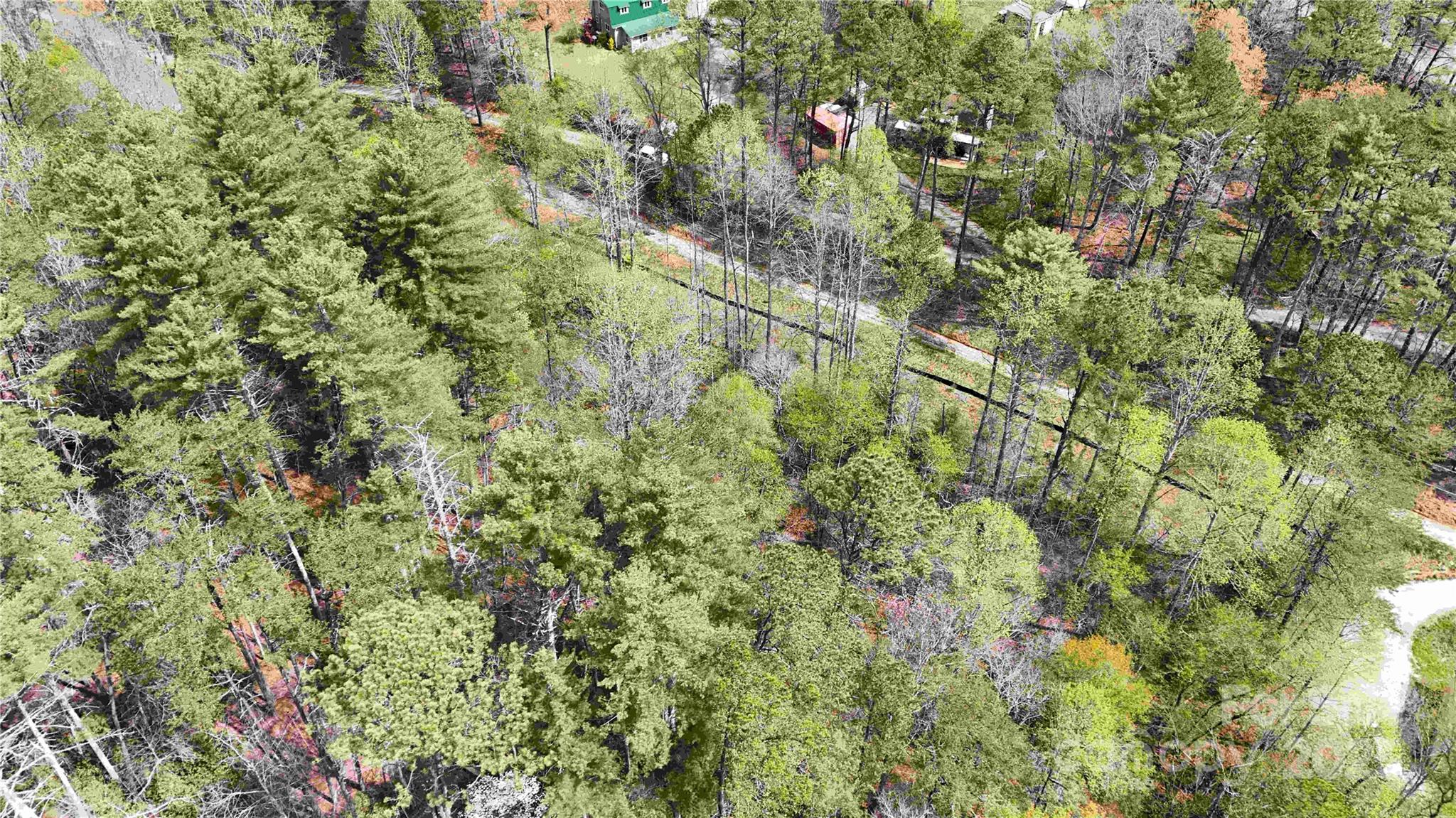 51 Dead End Trail Property Photo 6