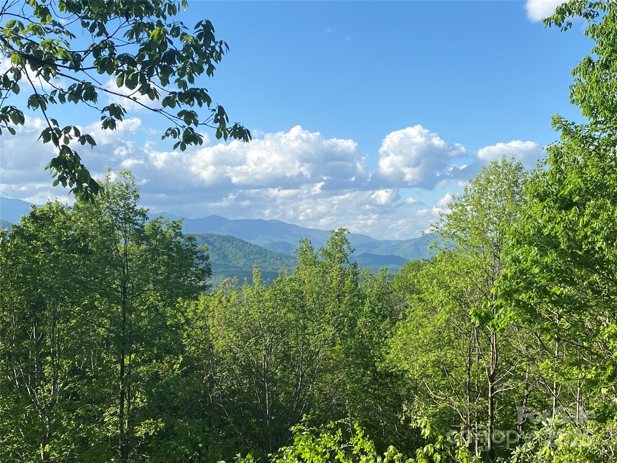 1099 Mitchell View Drive 915/915a Property Photo 2