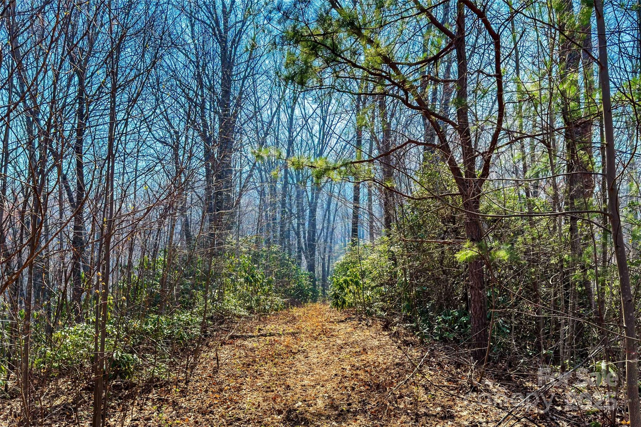 1099 Mitchell View Drive 915/915a Property Photo 3