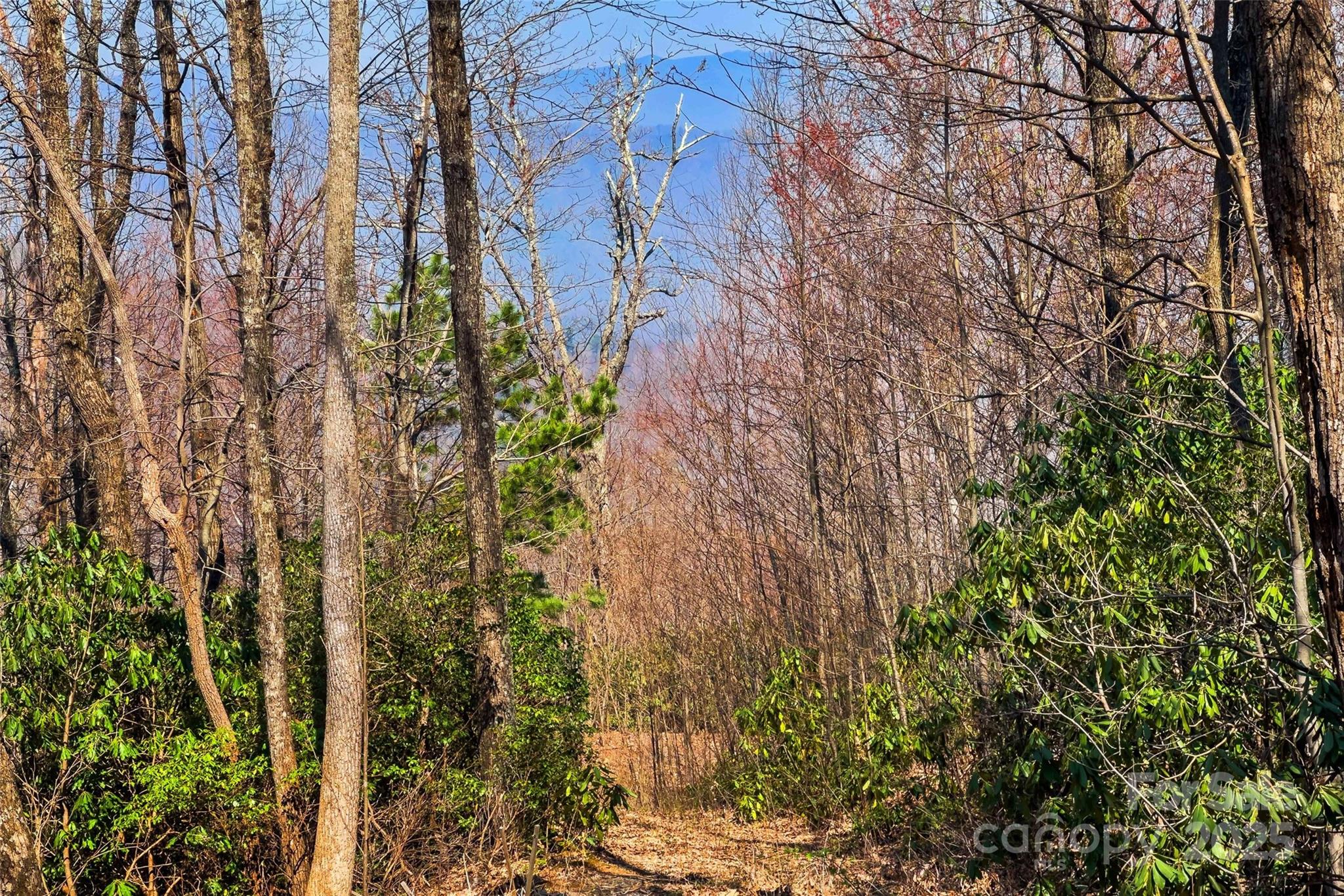 1099 Mitchell View Drive 915/915a Property Photo 4