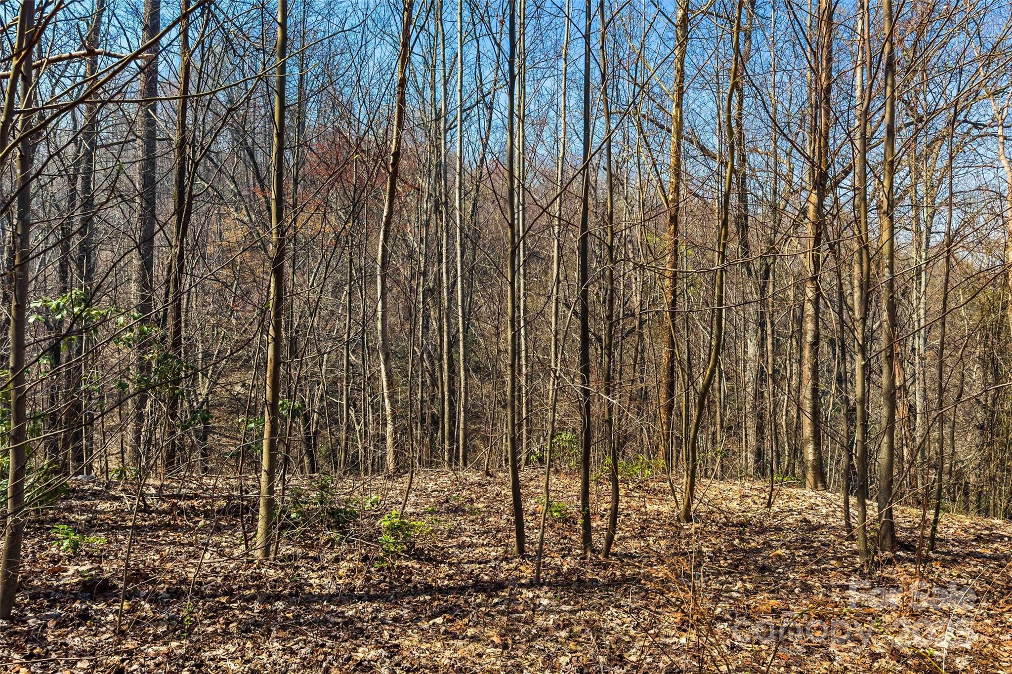 1099 Mitchell View Drive 915/915a Property Photo 5