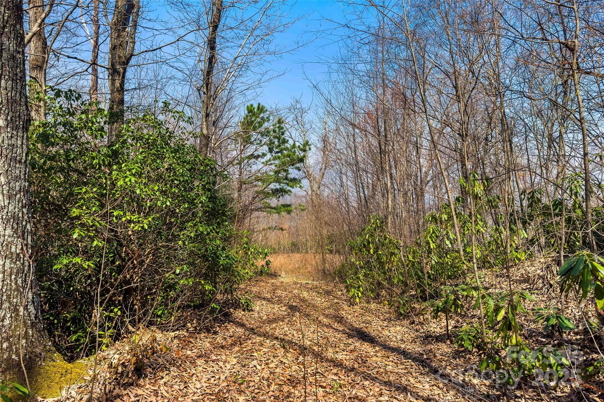 1099 Mitchell View Drive 915/915a Property Photo 6