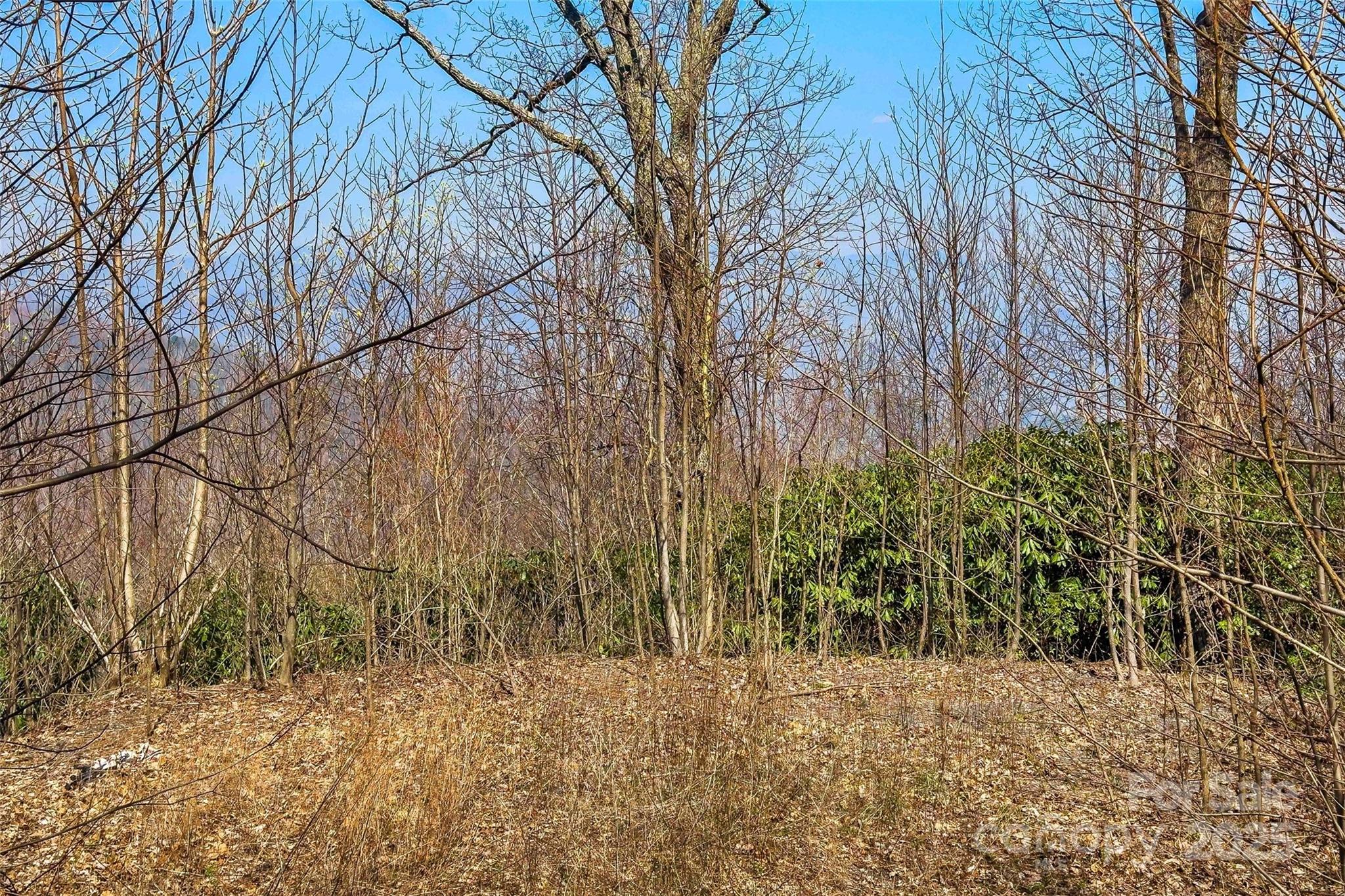 1099 Mitchell View Drive 915/915a Property Photo 7