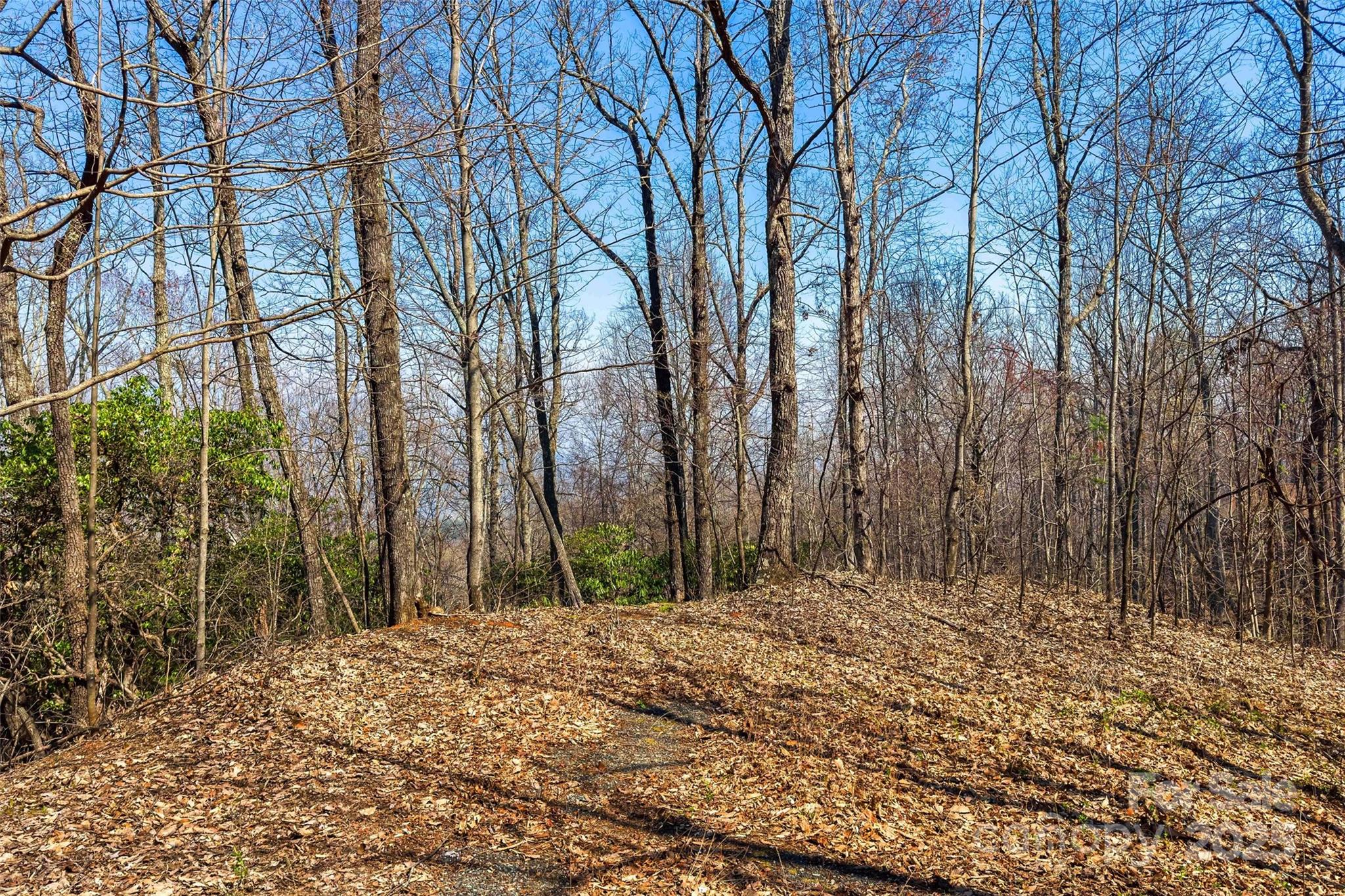 1099 Mitchell View Drive 915/915a Property Photo 8