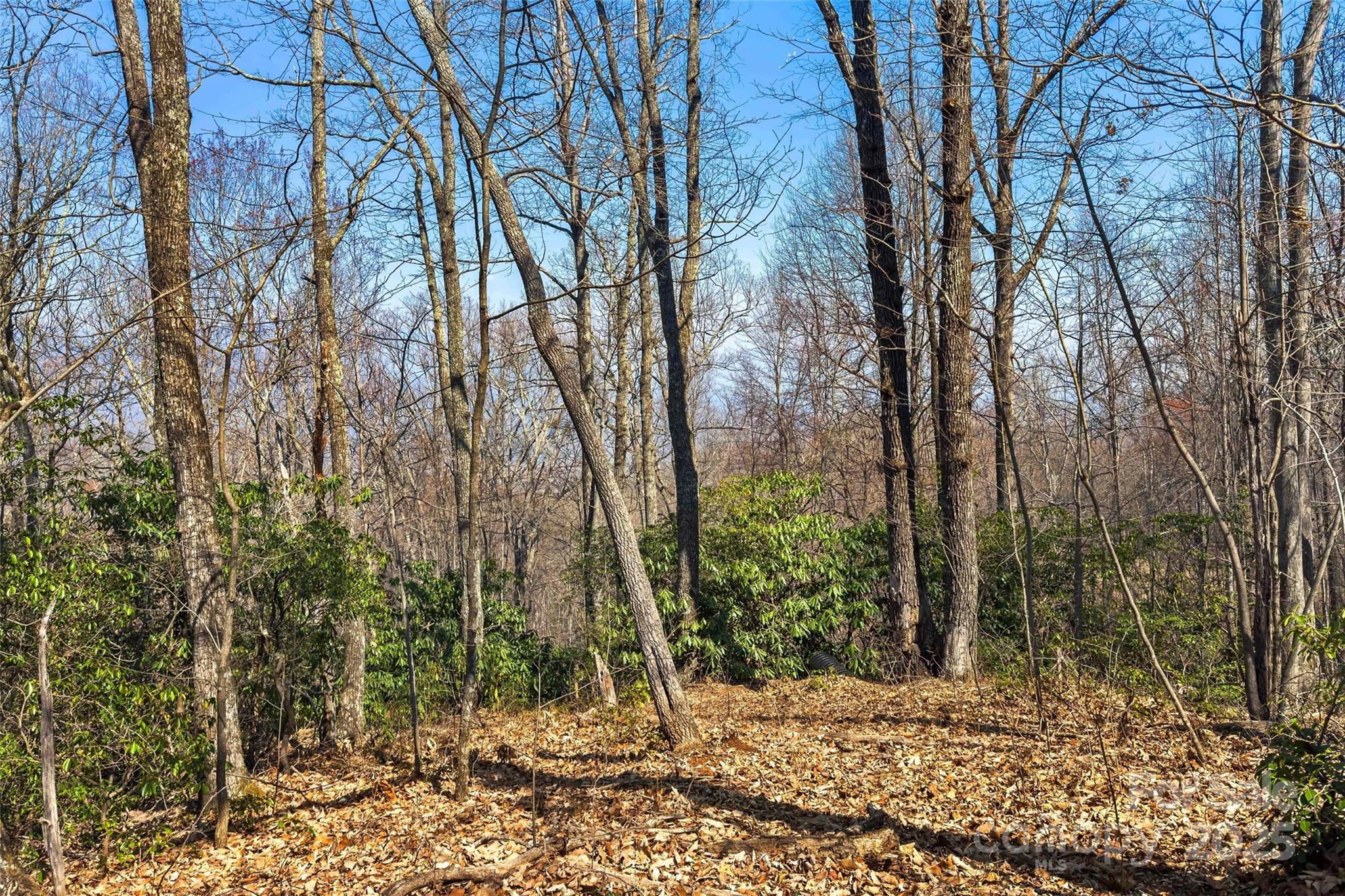 1099 Mitchell View Drive 915/915a Property Photo 9