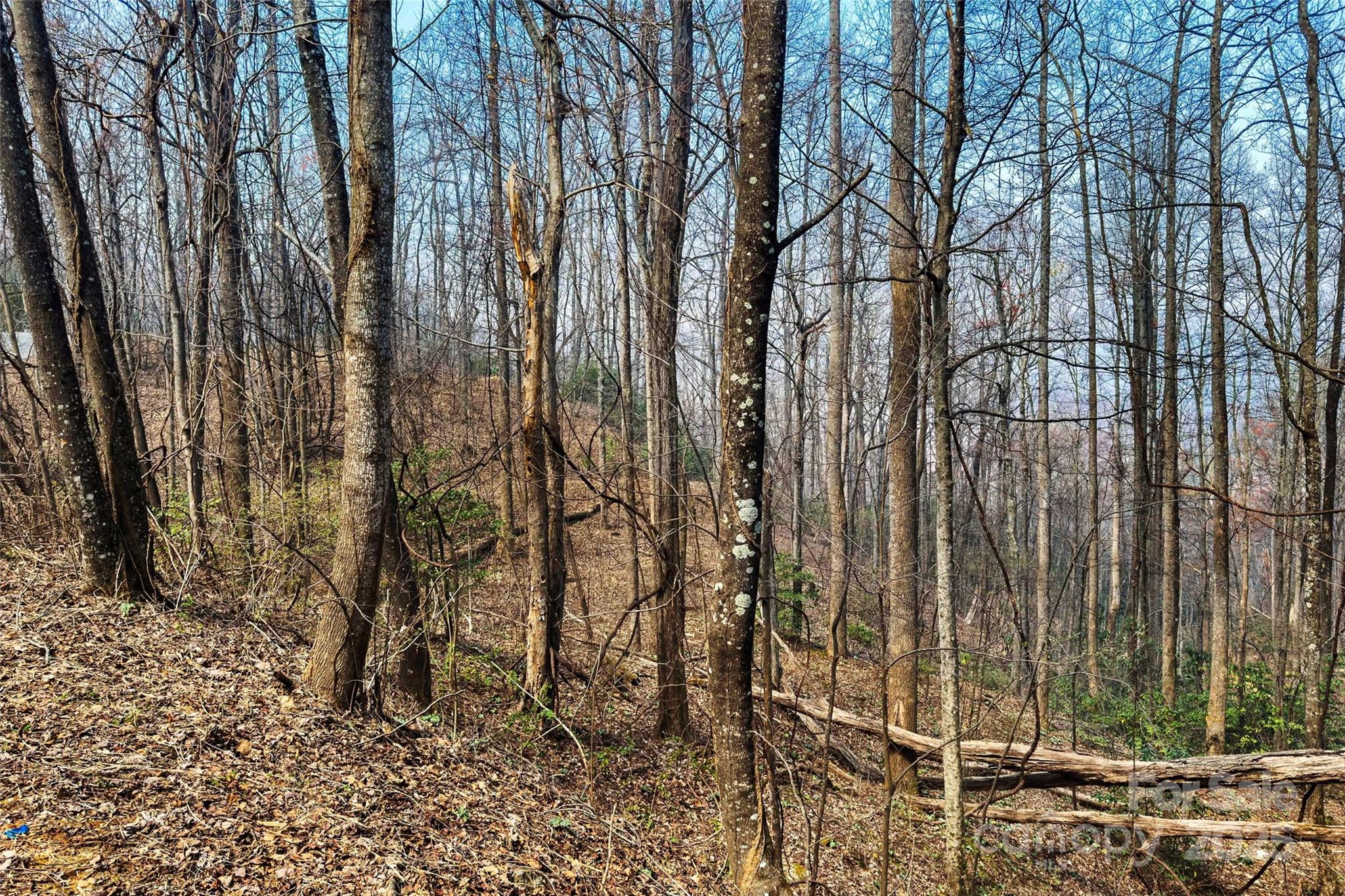 1099 Mitchell View Drive 915/915a Property Photo 10