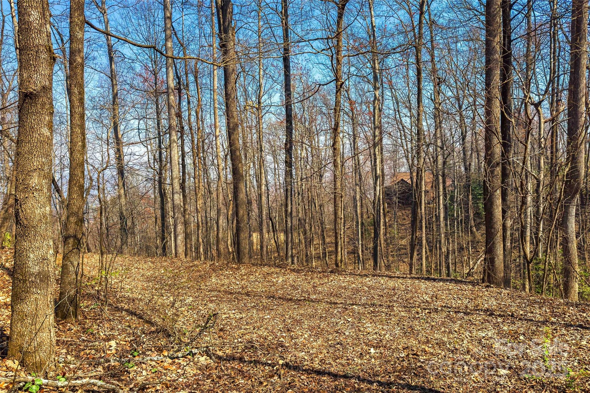 1099 Mitchell View Drive 915/915a Property Photo 11