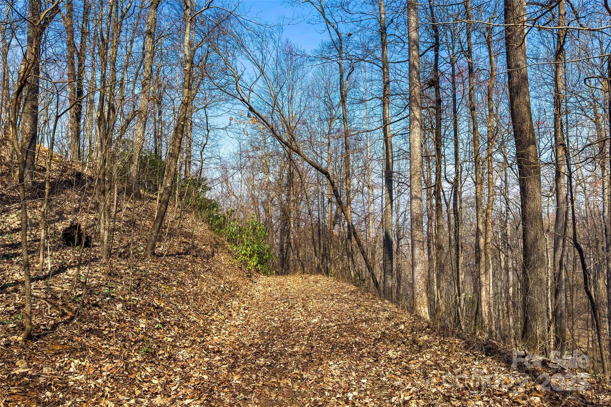 1099 Mitchell View Drive 915/915a Property Photo 12