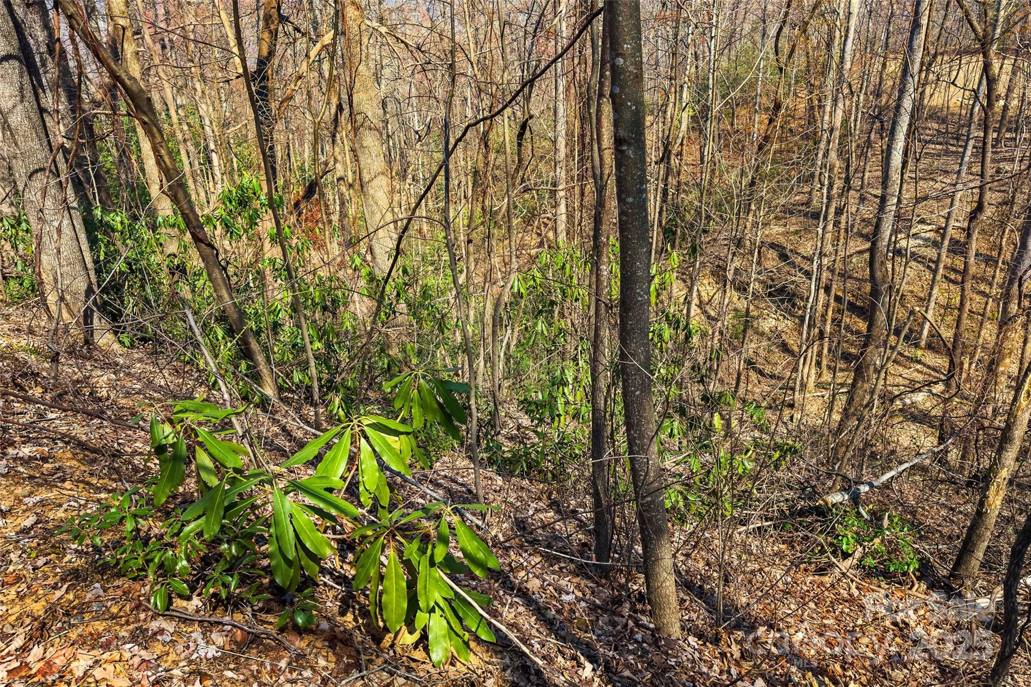 1099 Mitchell View Drive 915/915a Property Photo 13