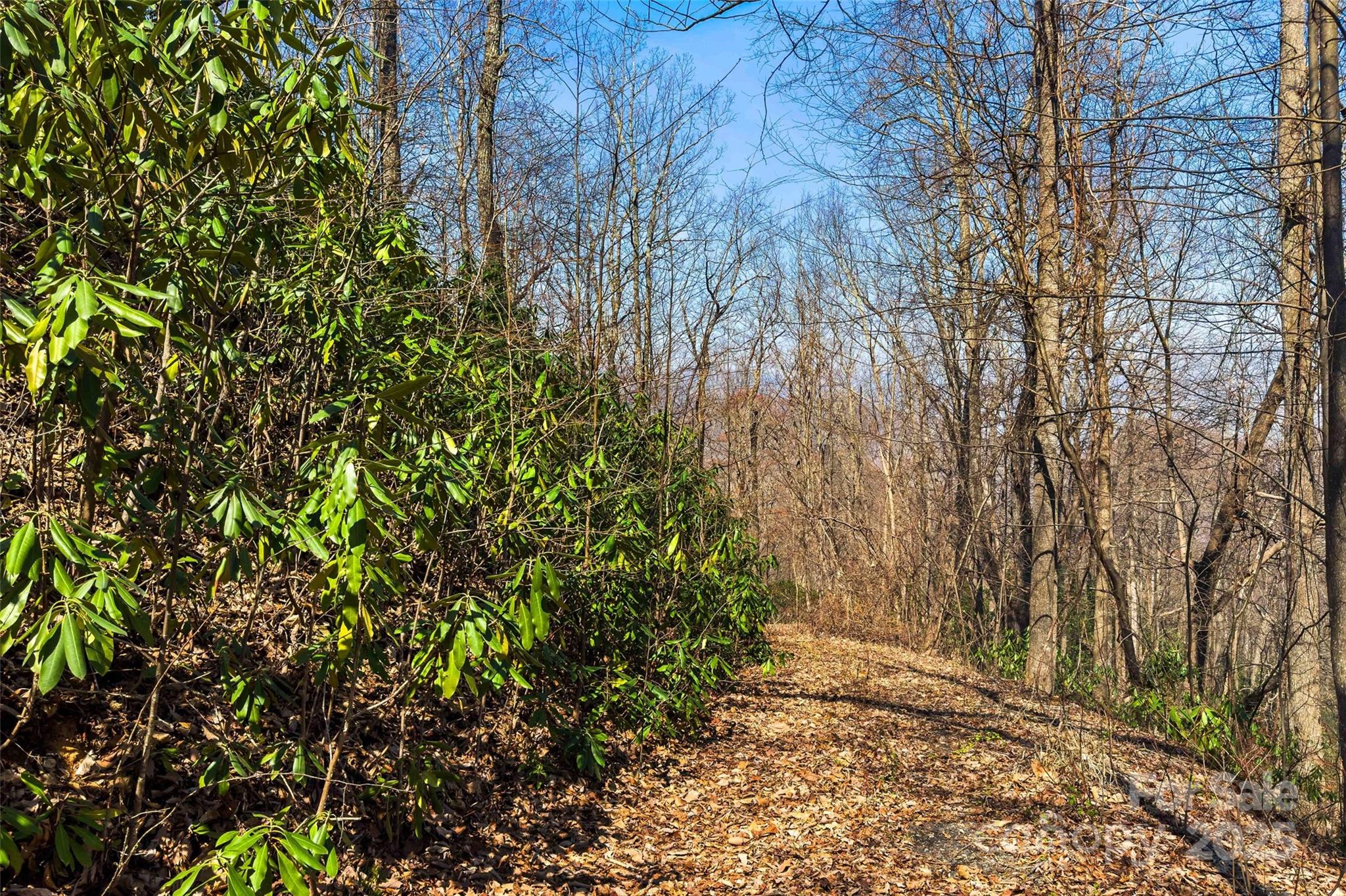 1099 Mitchell View Drive 915/915a Property Photo 14