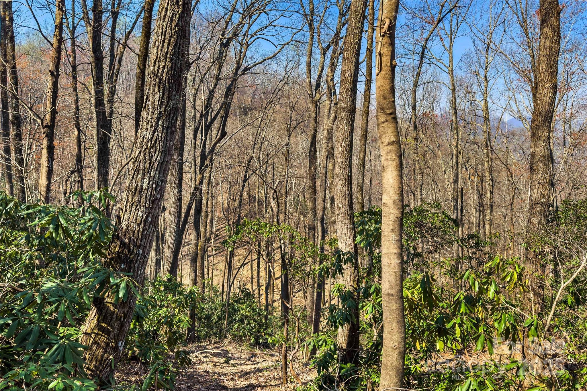 1099 Mitchell View Drive 915/915a Property Photo 15