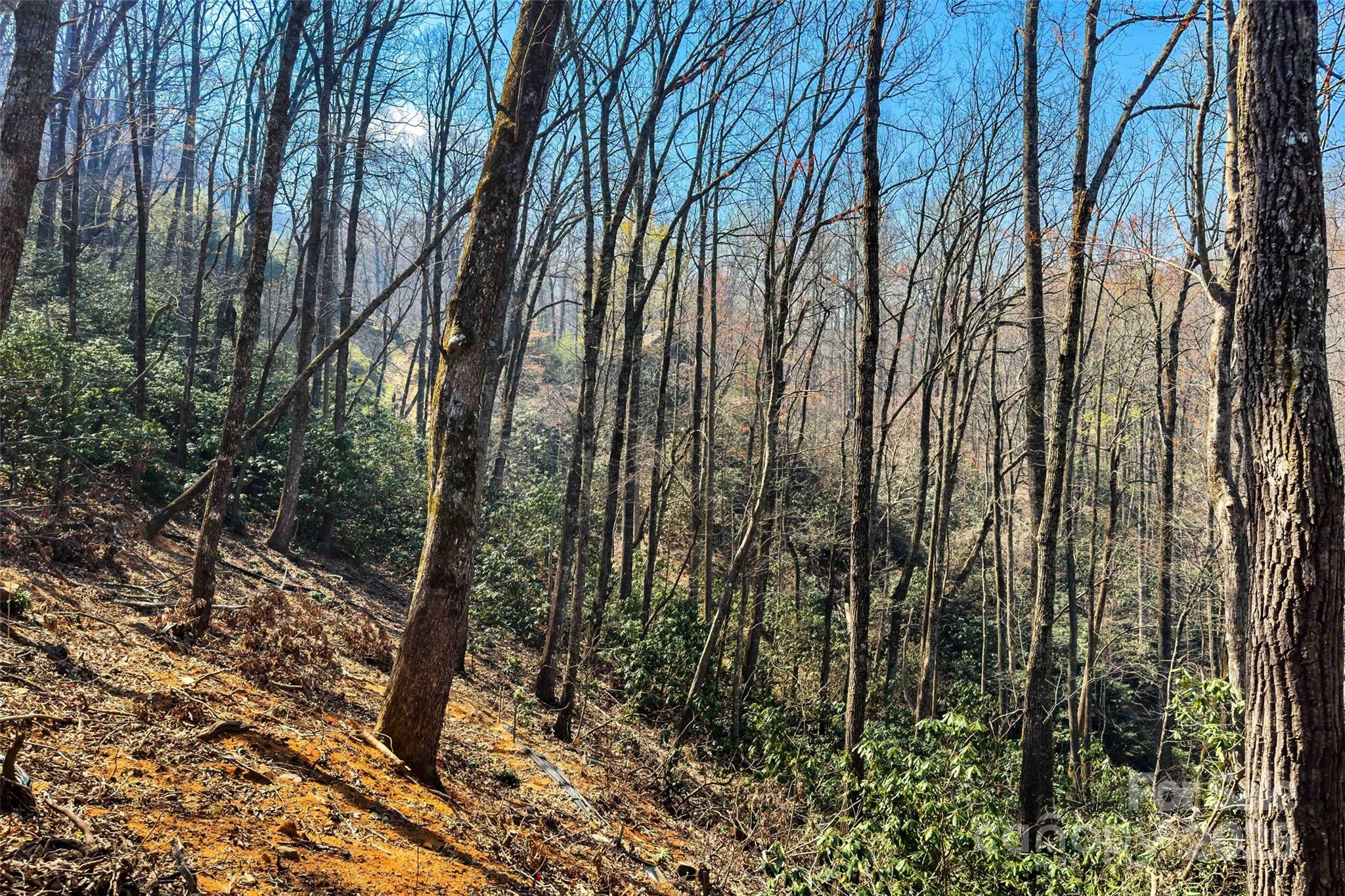 1099 Mitchell View Drive 915/915a Property Photo 19