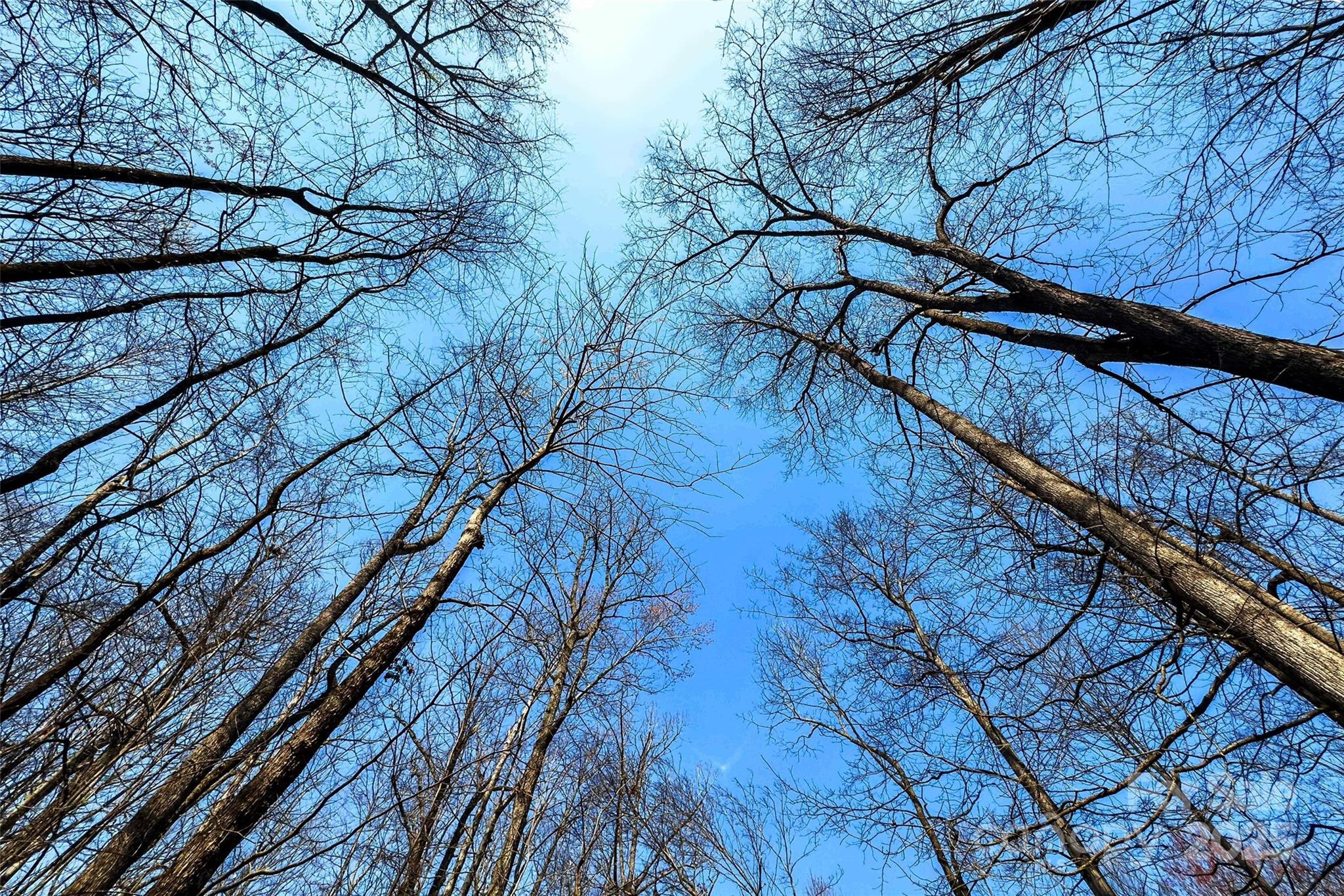 1099 Mitchell View Drive 915/915a Property Photo 20