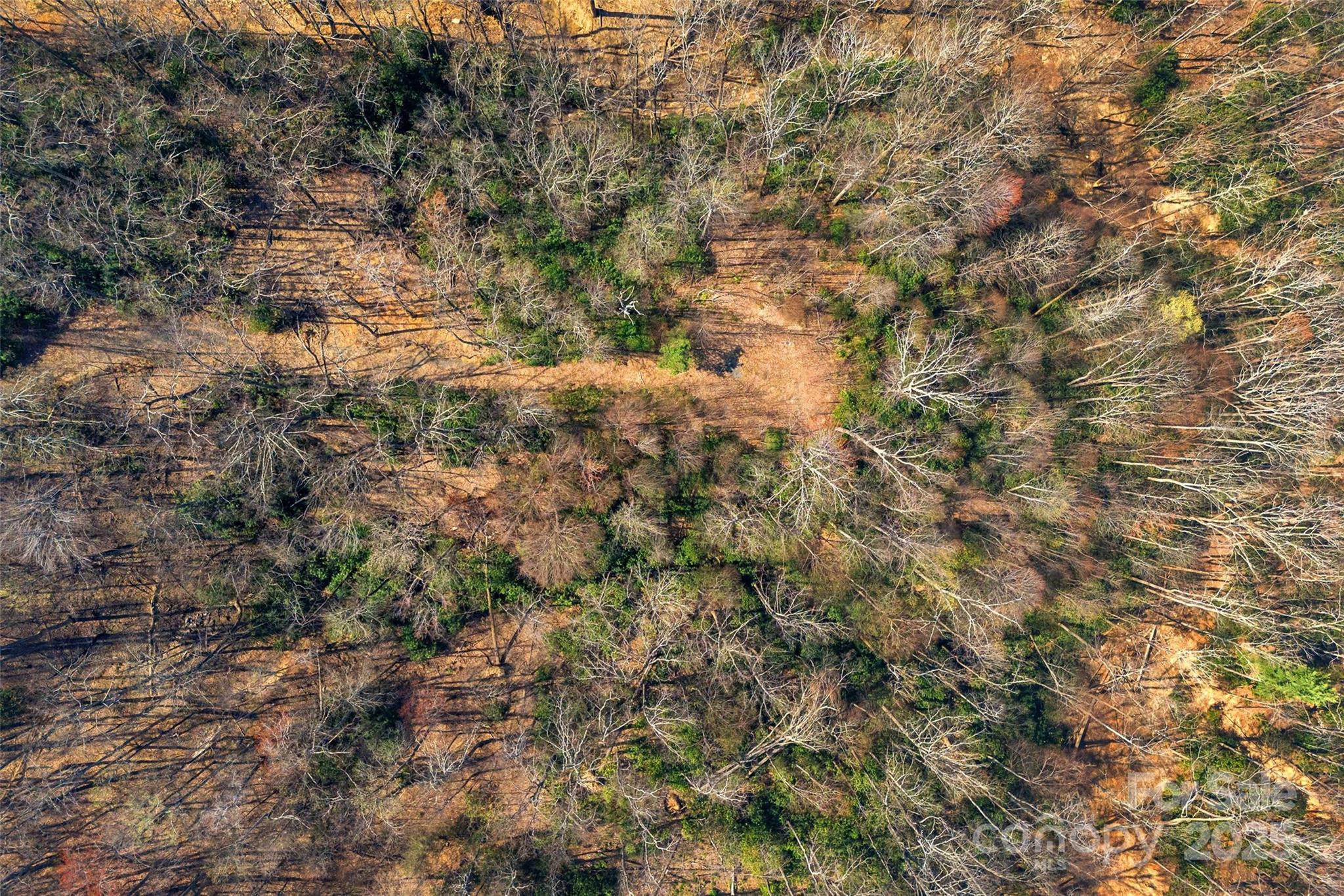 1099 Mitchell View Drive 915/915a Property Photo 21