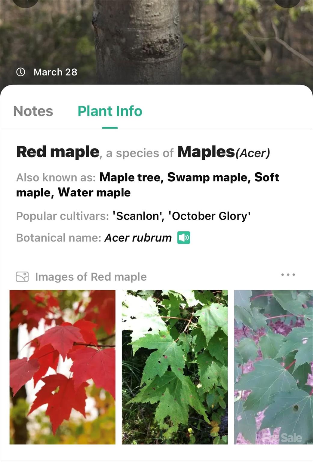 1099 Mitchell View Drive 915/915a Property Photo 26