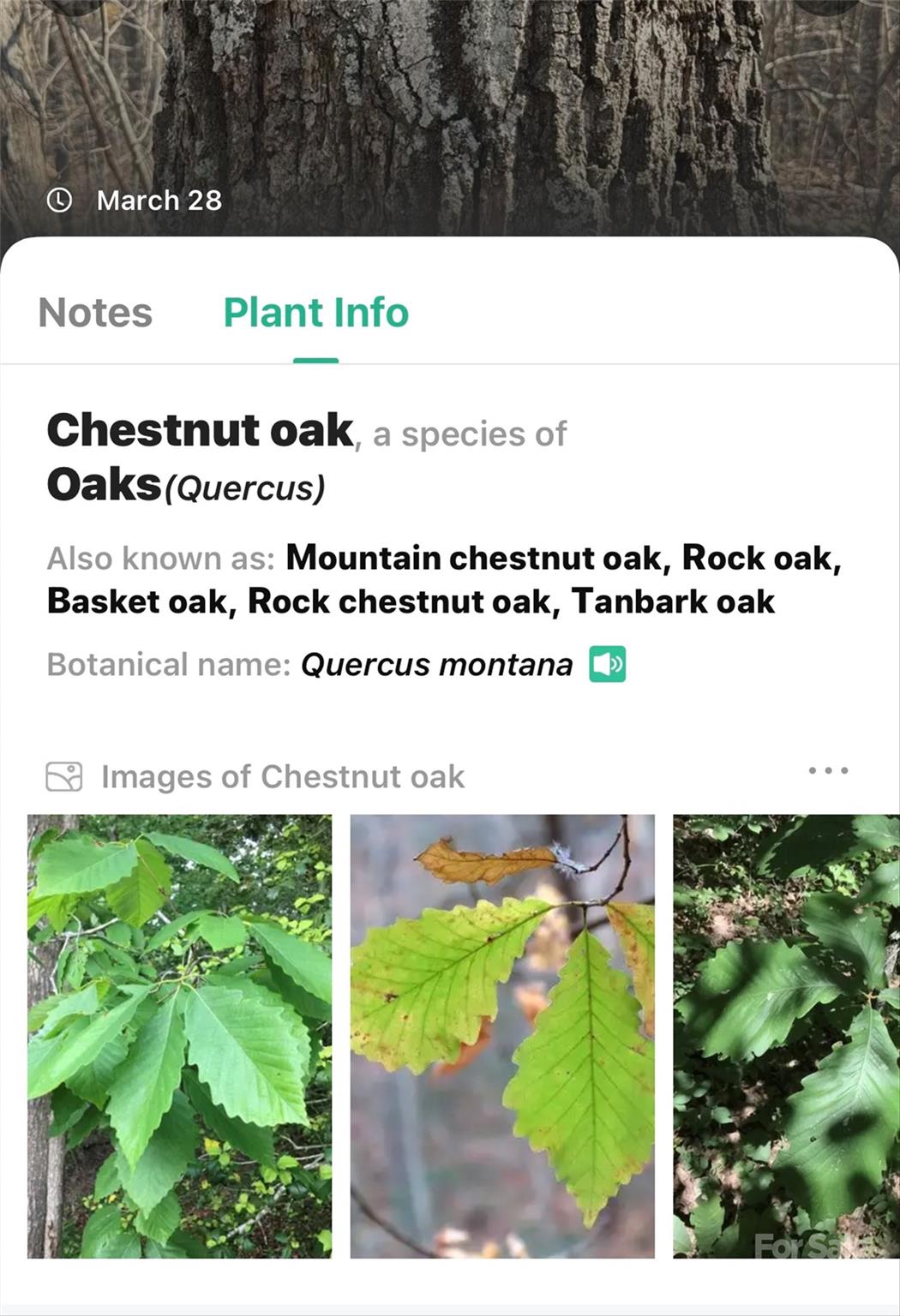 1099 Mitchell View Drive 915/915a Property Photo 27